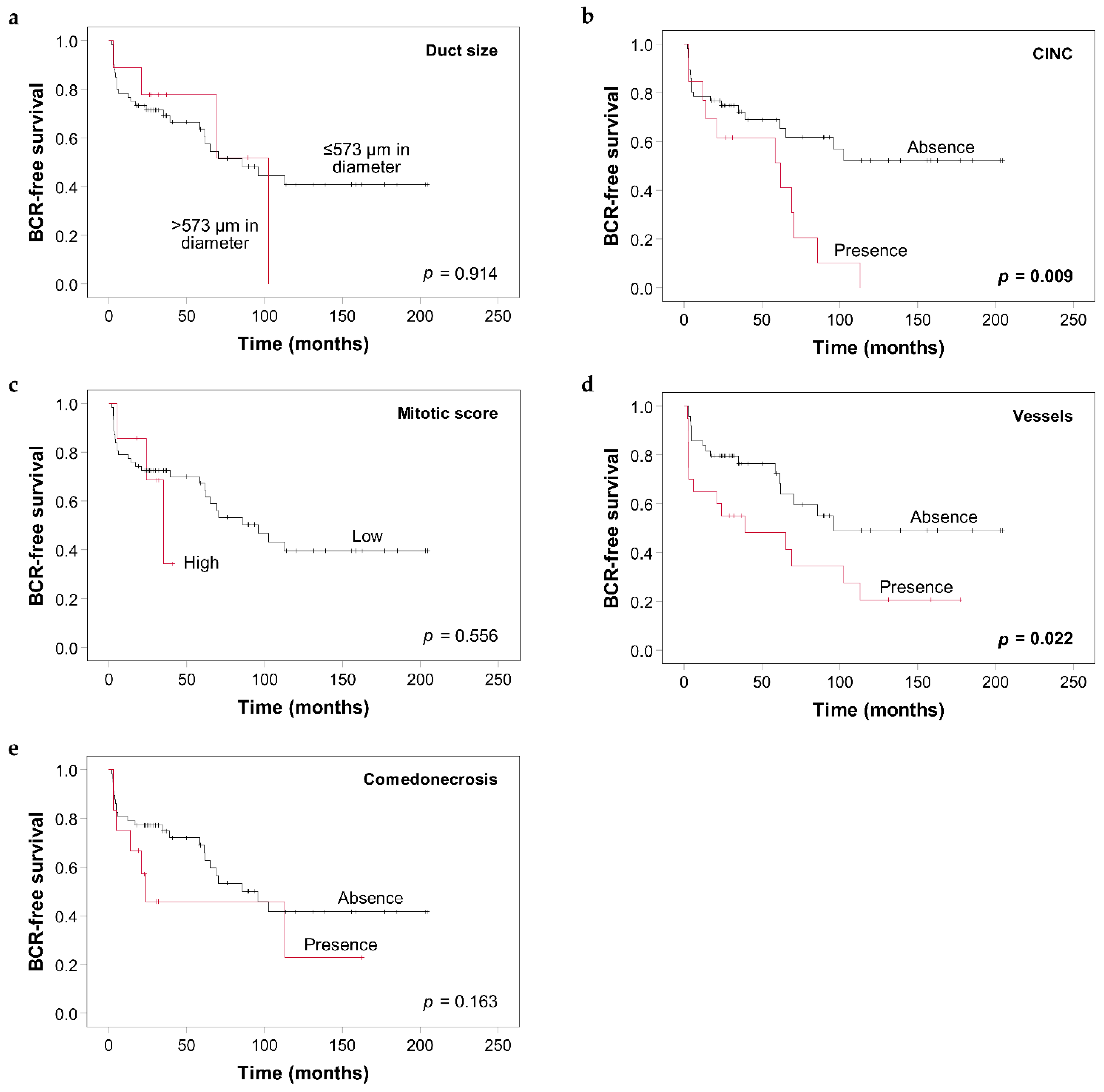 Cancers 13 06243 g003