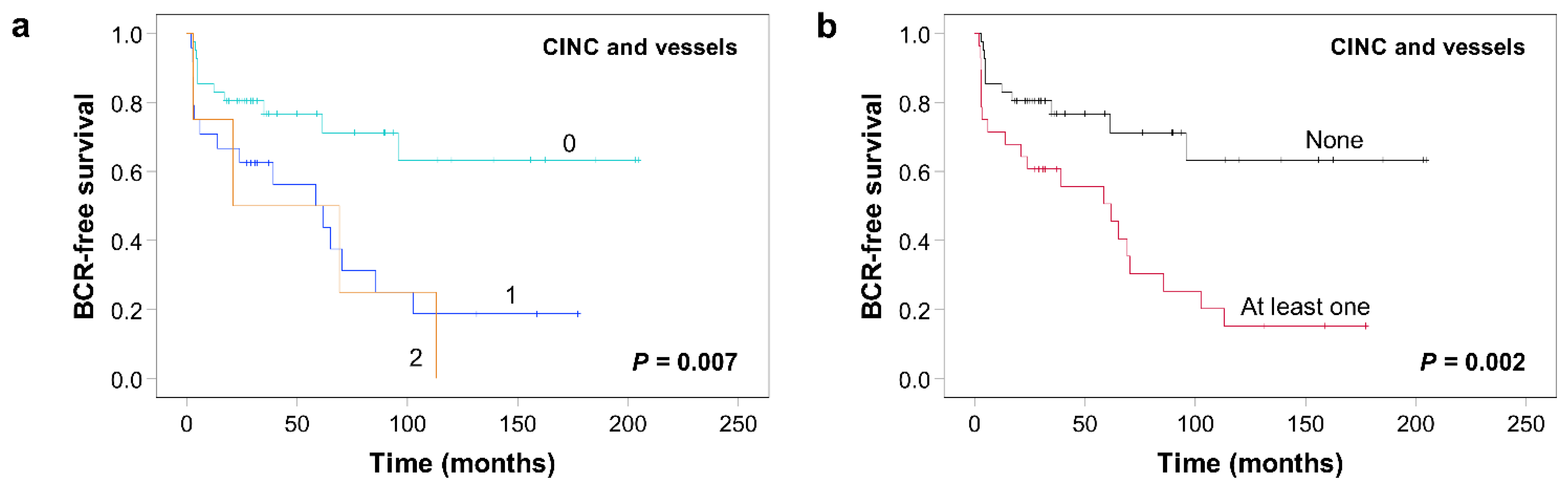 Cancers 13 06243 g004