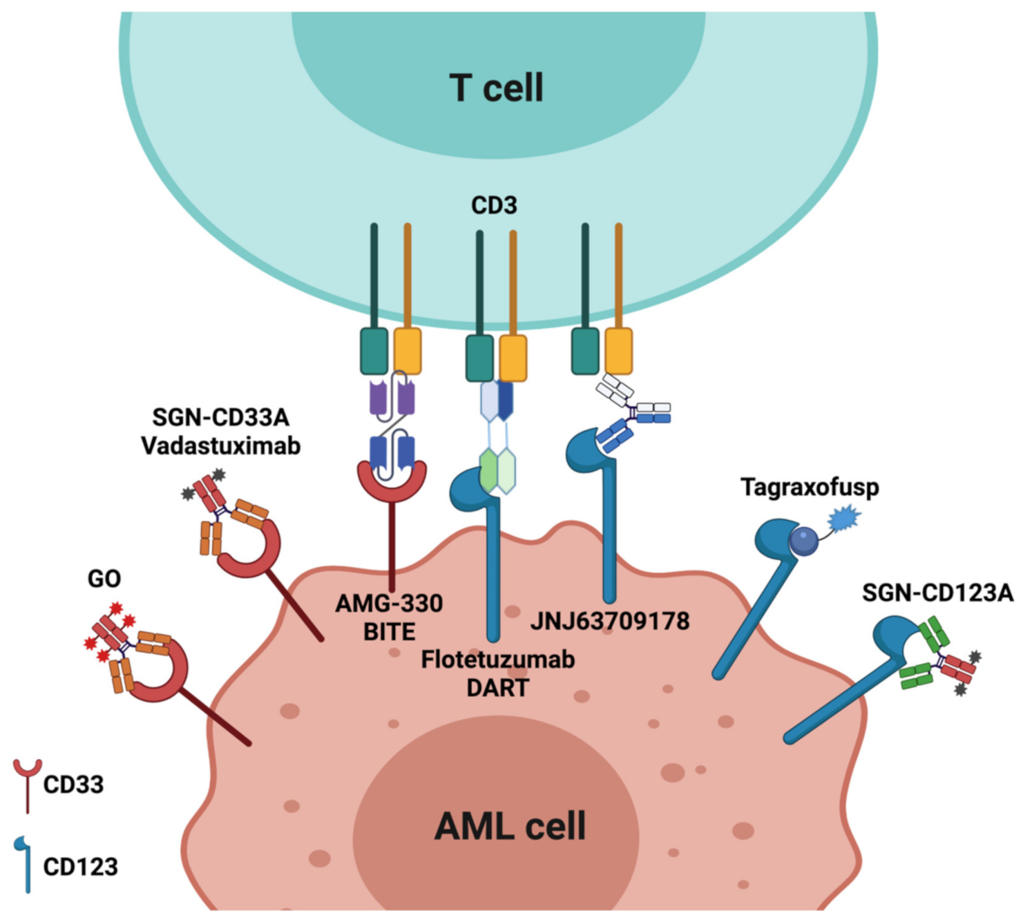 Cancers 13 06246 g001 Cancers 13 06246 g001