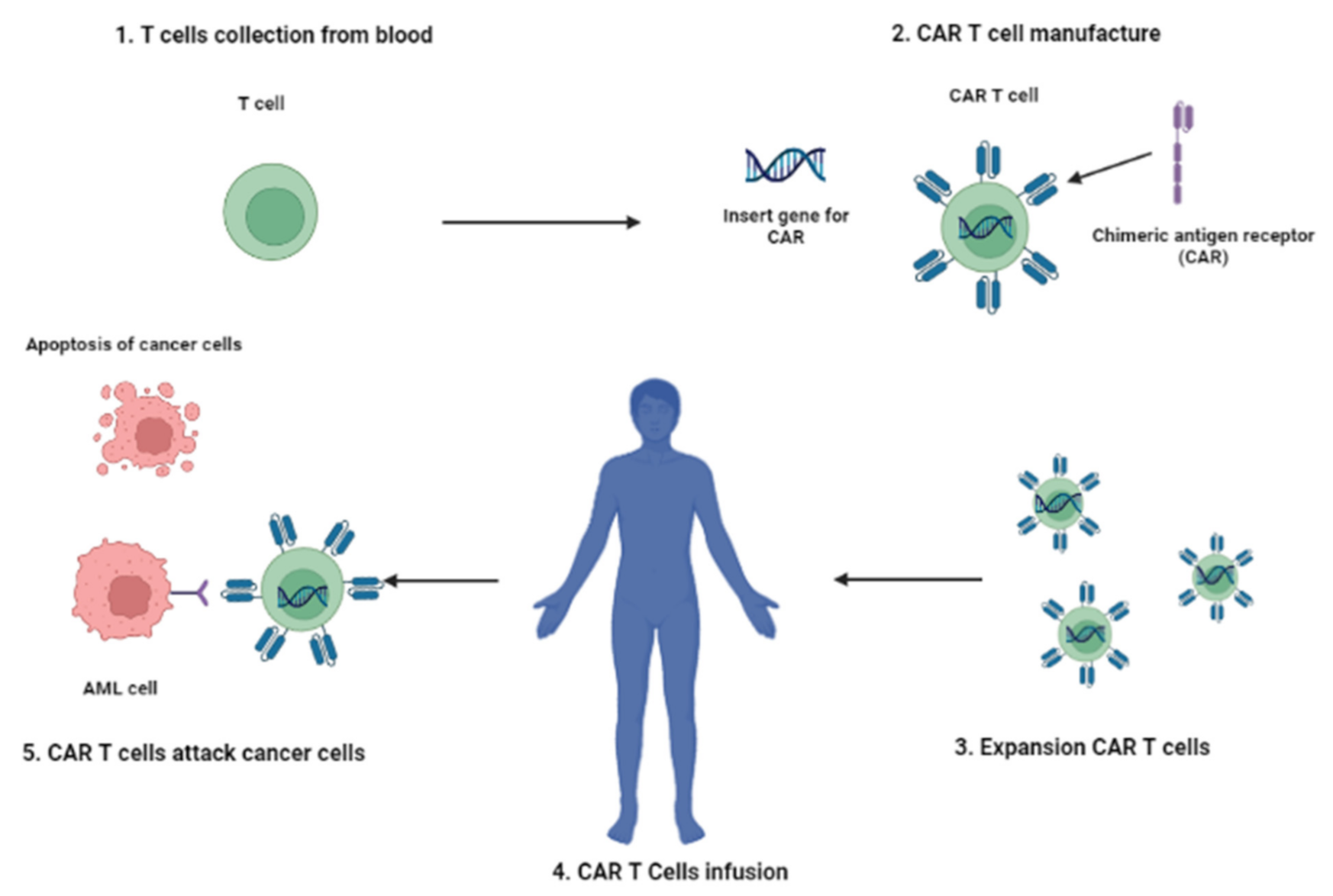 Cancers 13 06246 g002 Cancers 13 06246 g002
