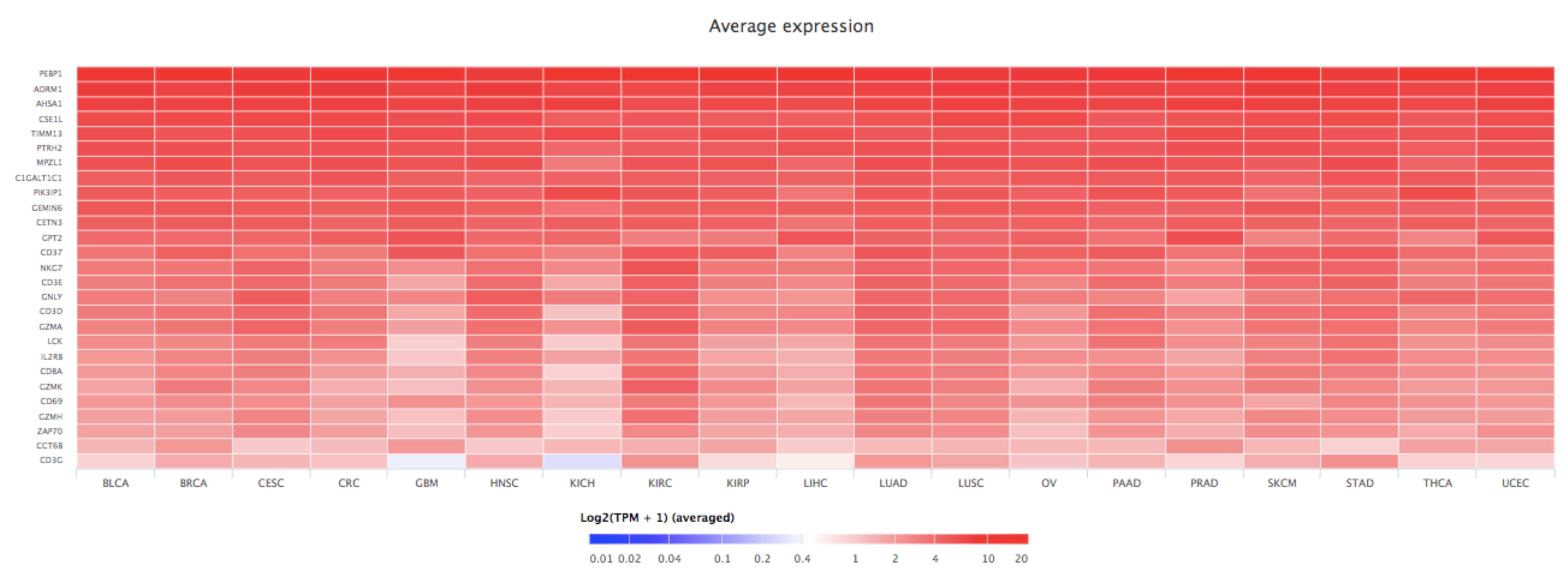 Cancers 13 06247 g005 Cancers 13 06247 g005