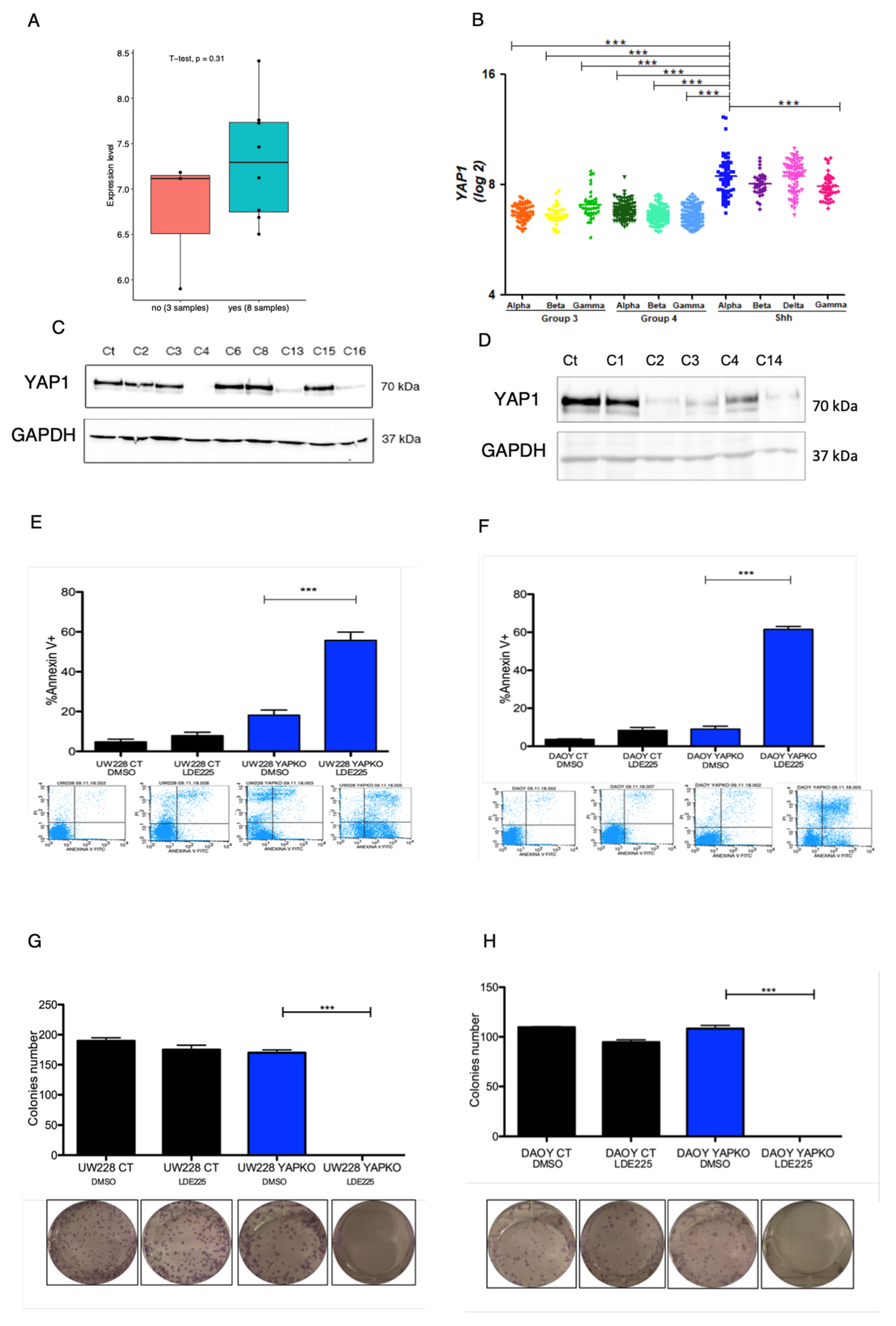 Cancers 13 06249 g001 550