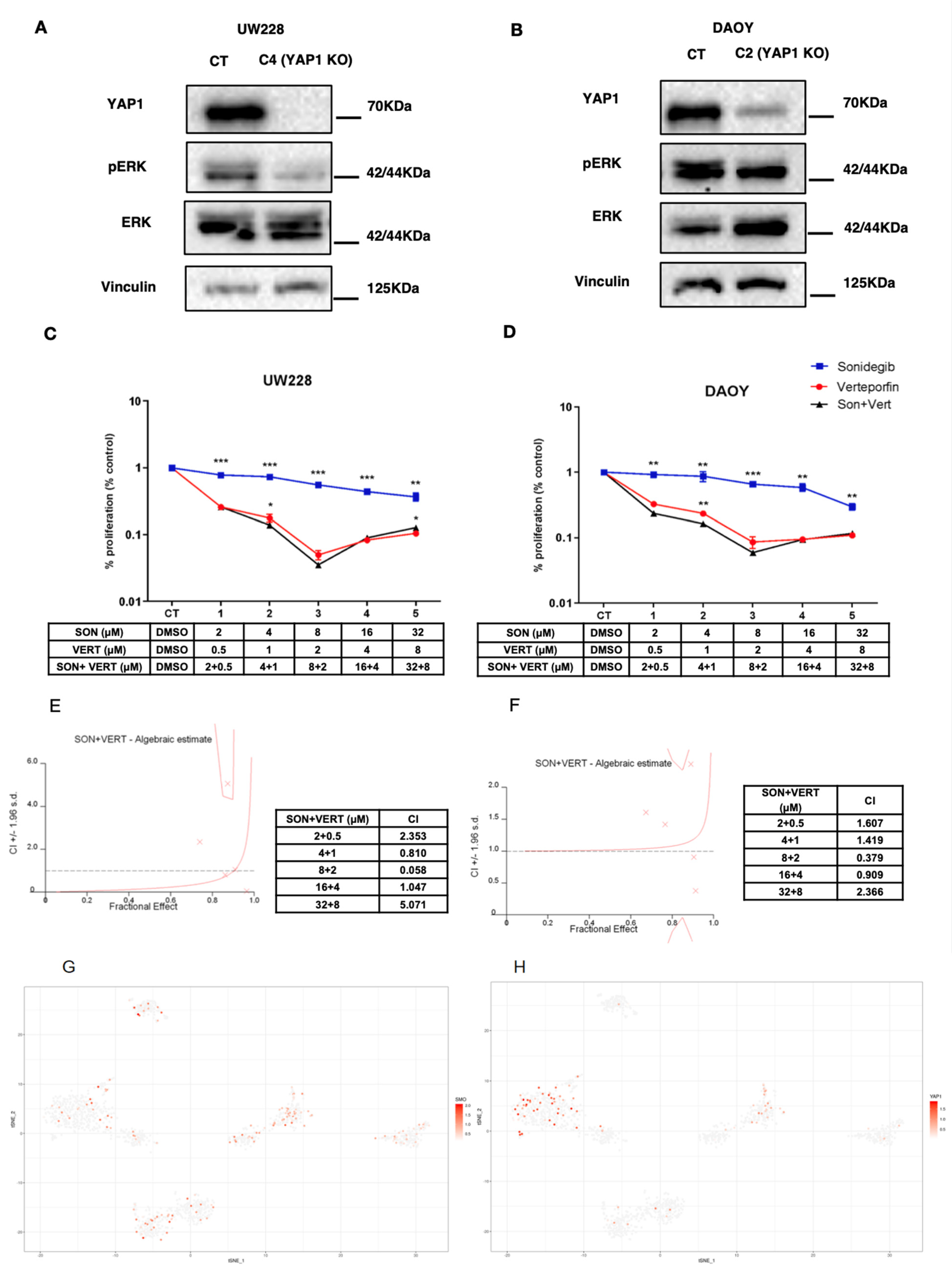 Cancers 13 06249 g002 550