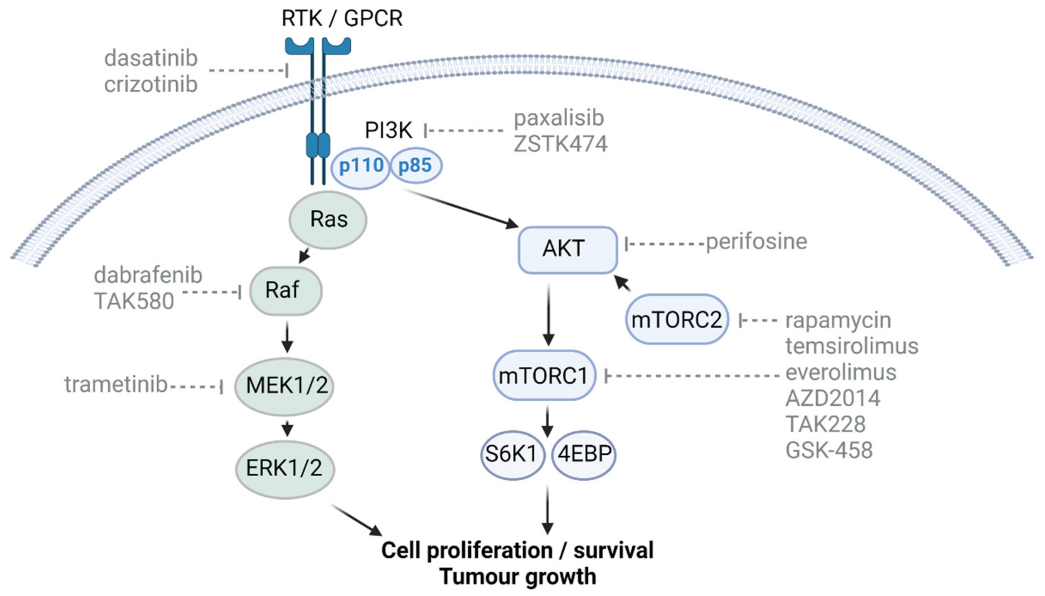 Cancers 13 06251 g001 Cancers 13 06251 g001