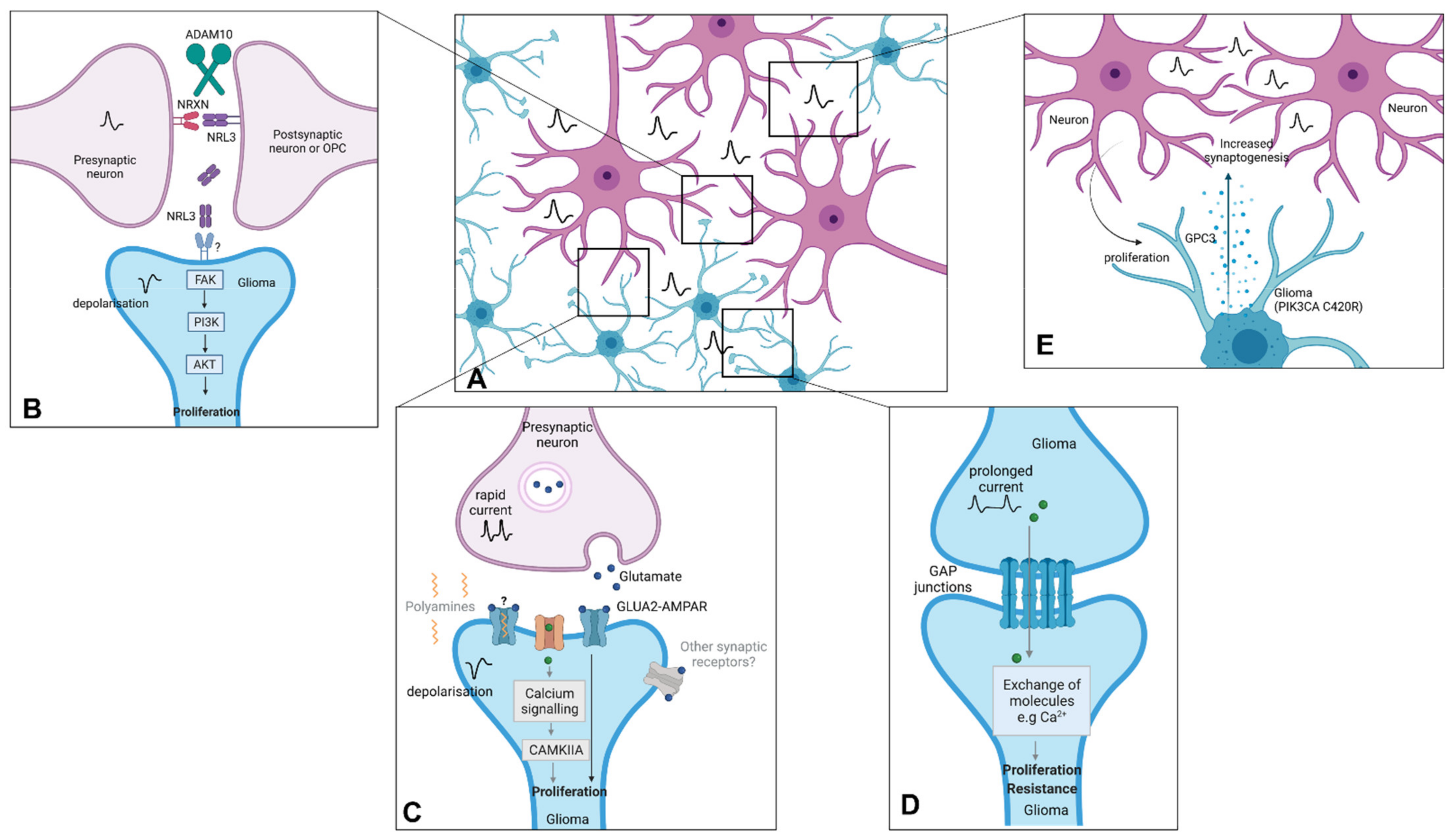 Cancers 13 06251 g004 Cancers 13 06251 g004