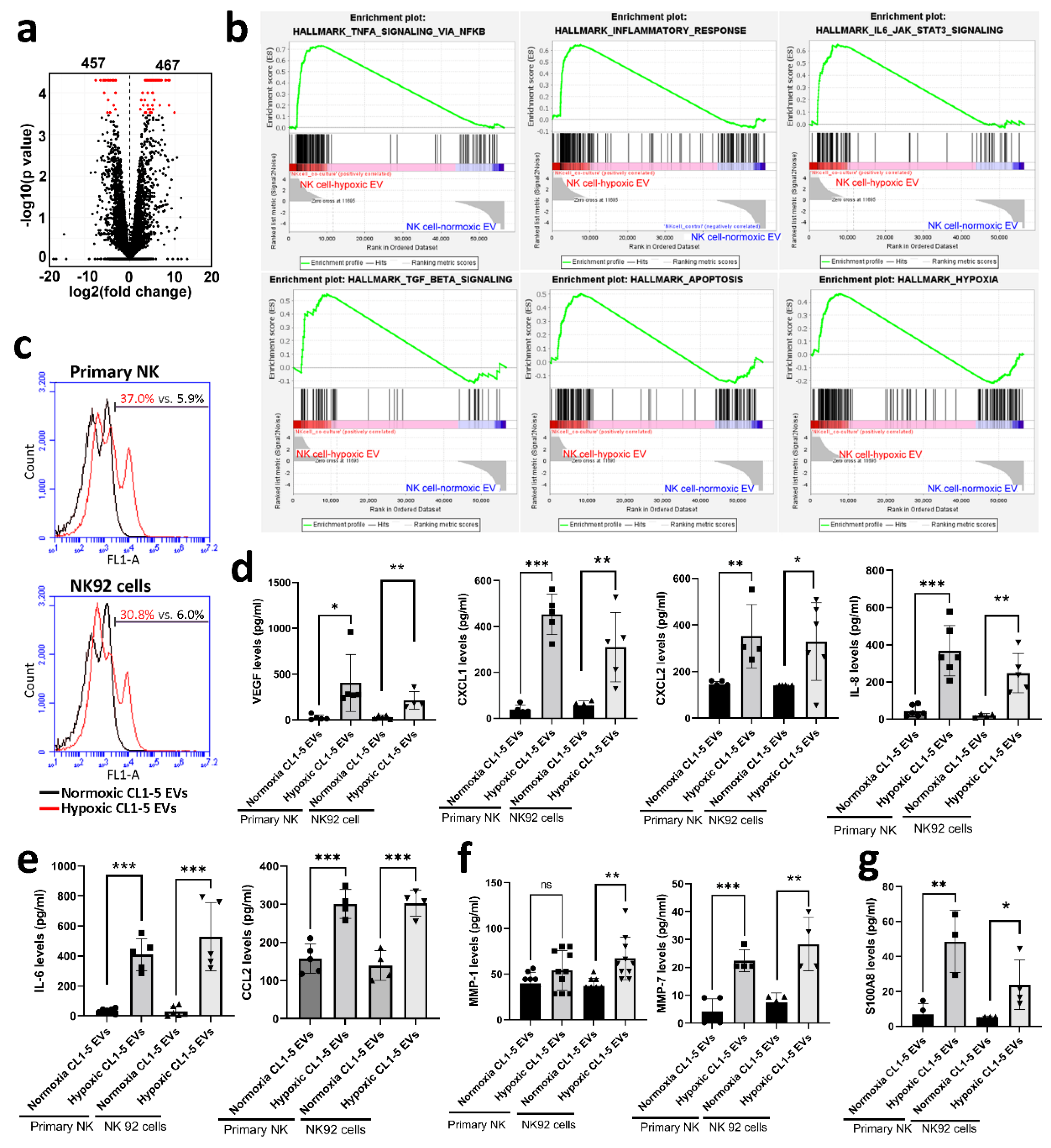 Cancers 13 06252 g003 550