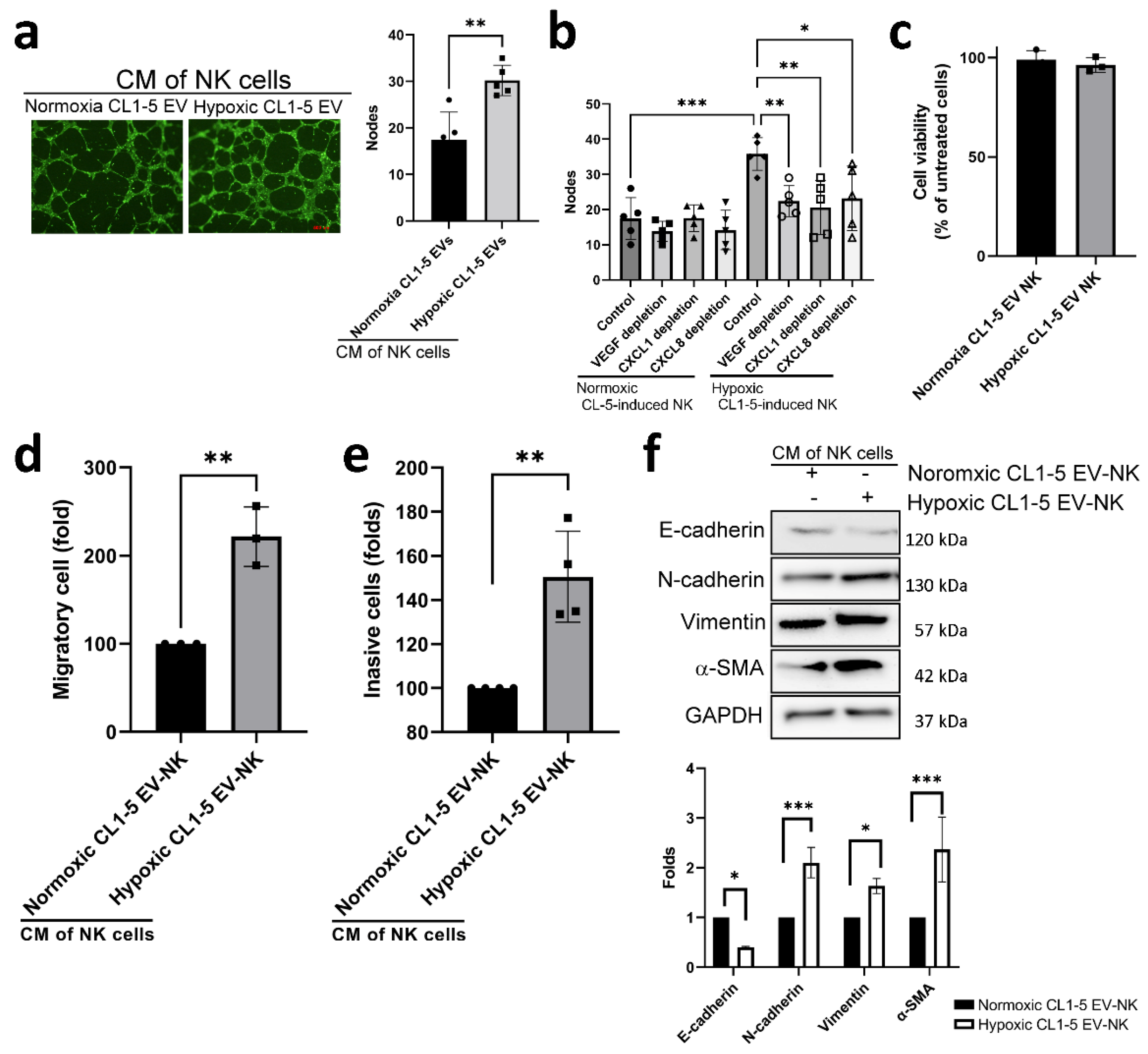Cancers 13 06252 g004 550
