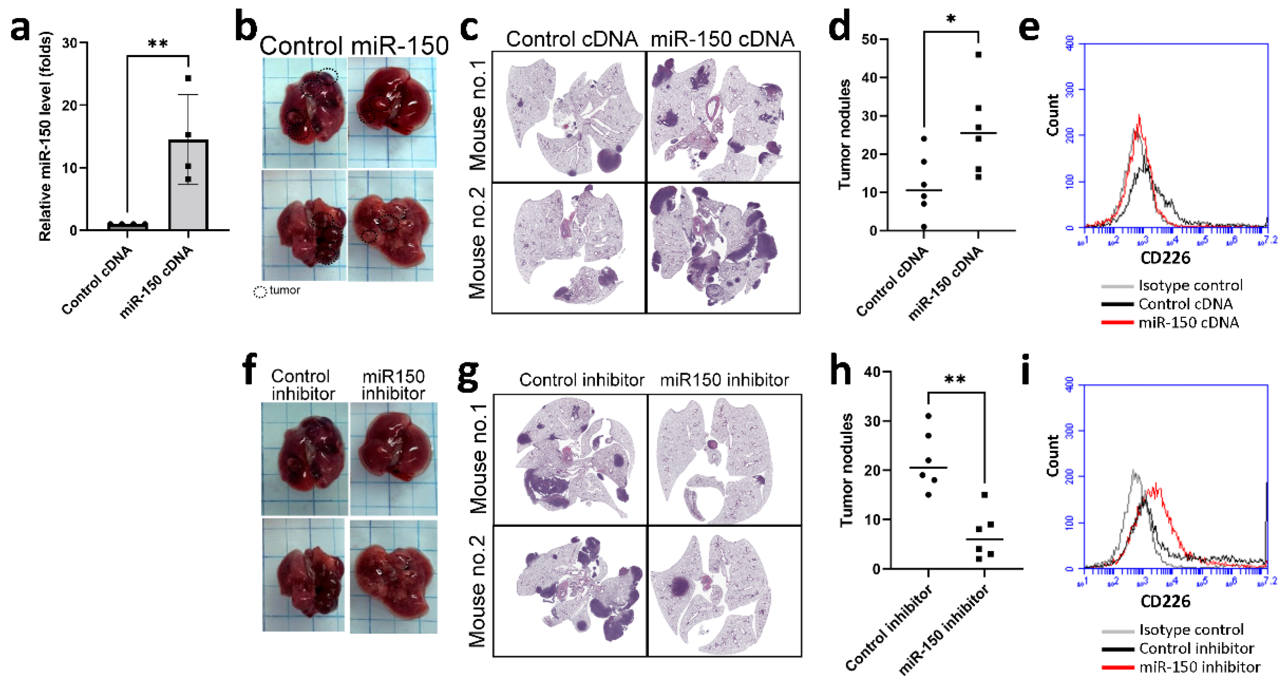 Cancers 13 06252 g005 550