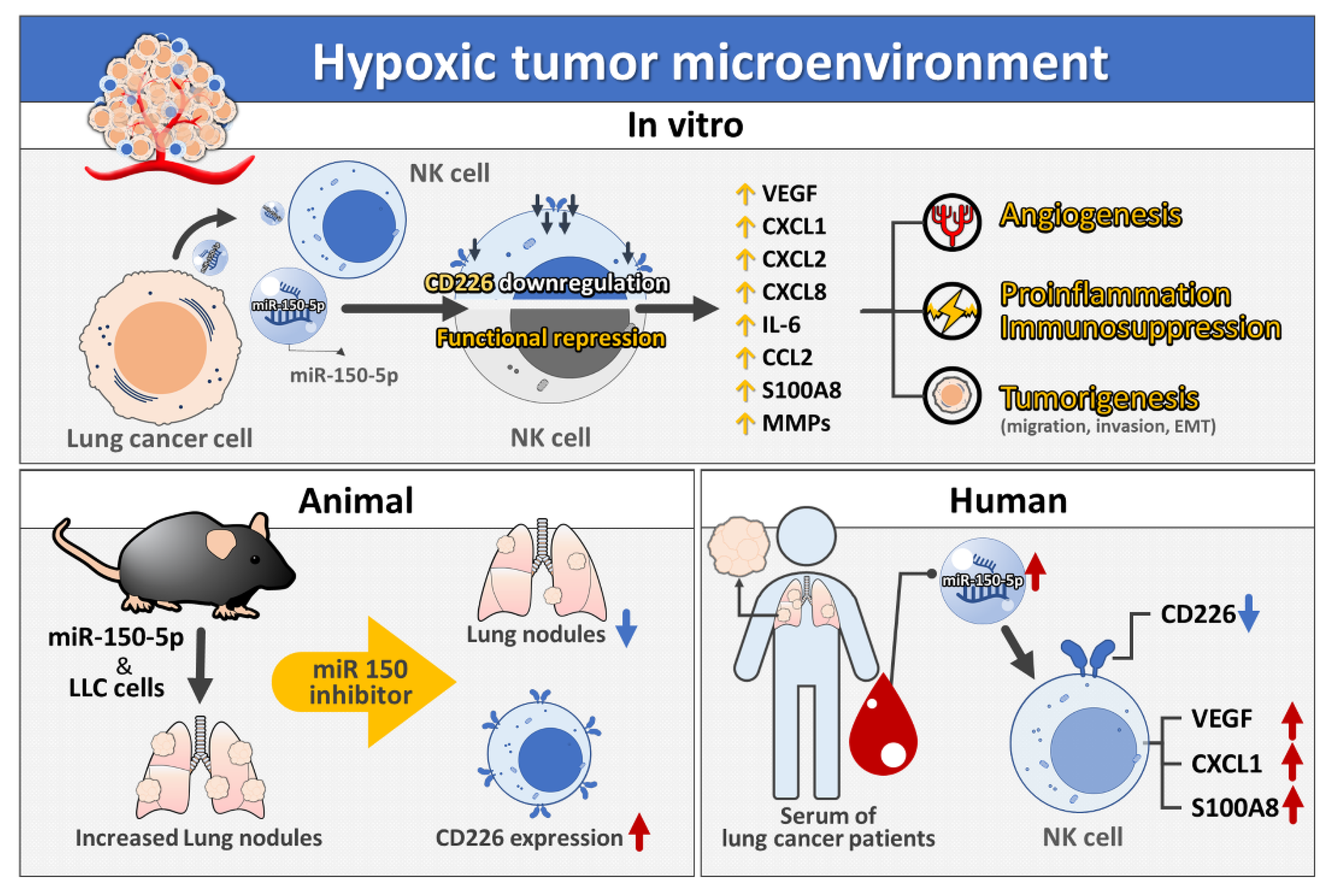 Cancers 13 06252 g007 550