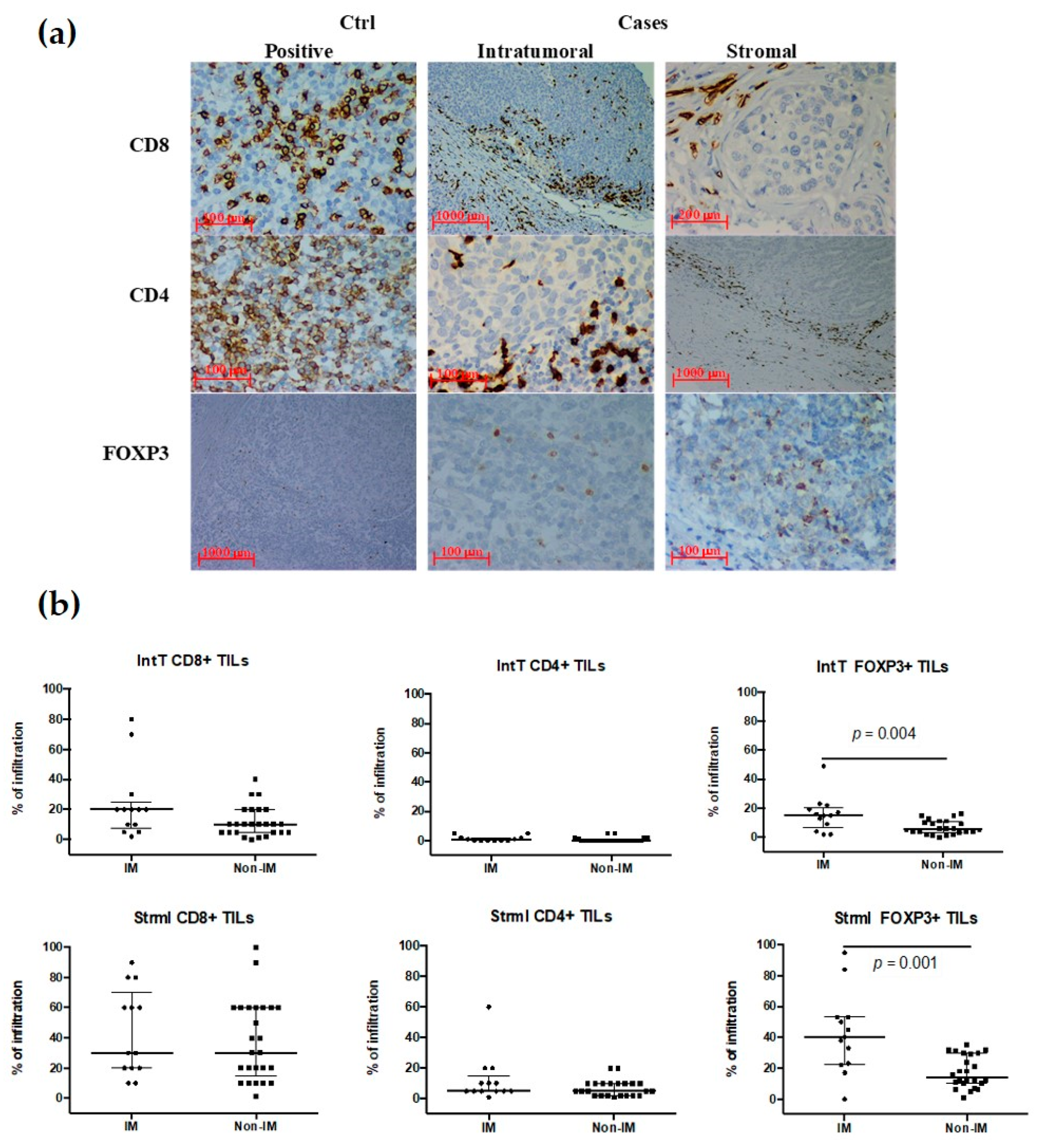 Cancers 13 06256 g001