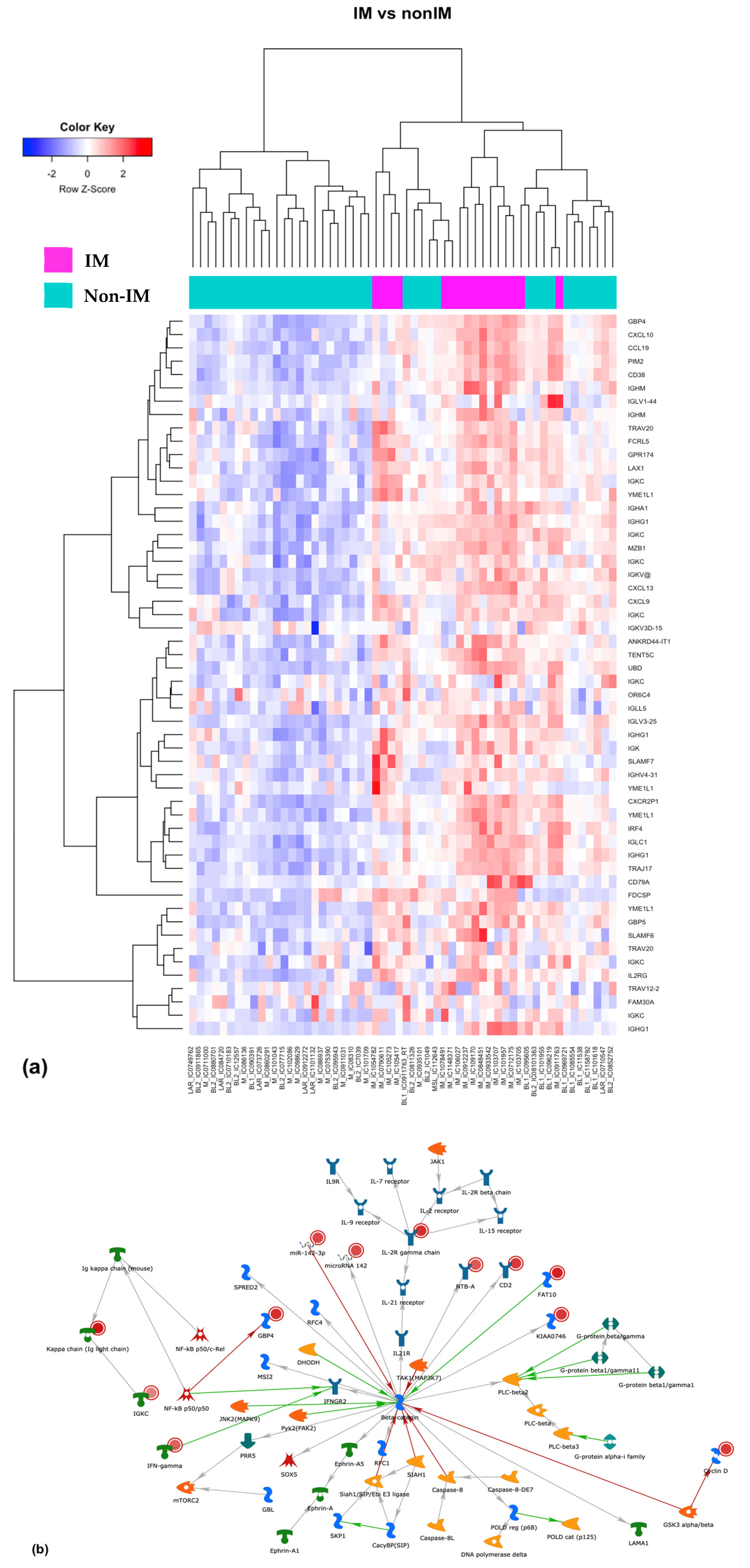 Cancers 13 06256 g002