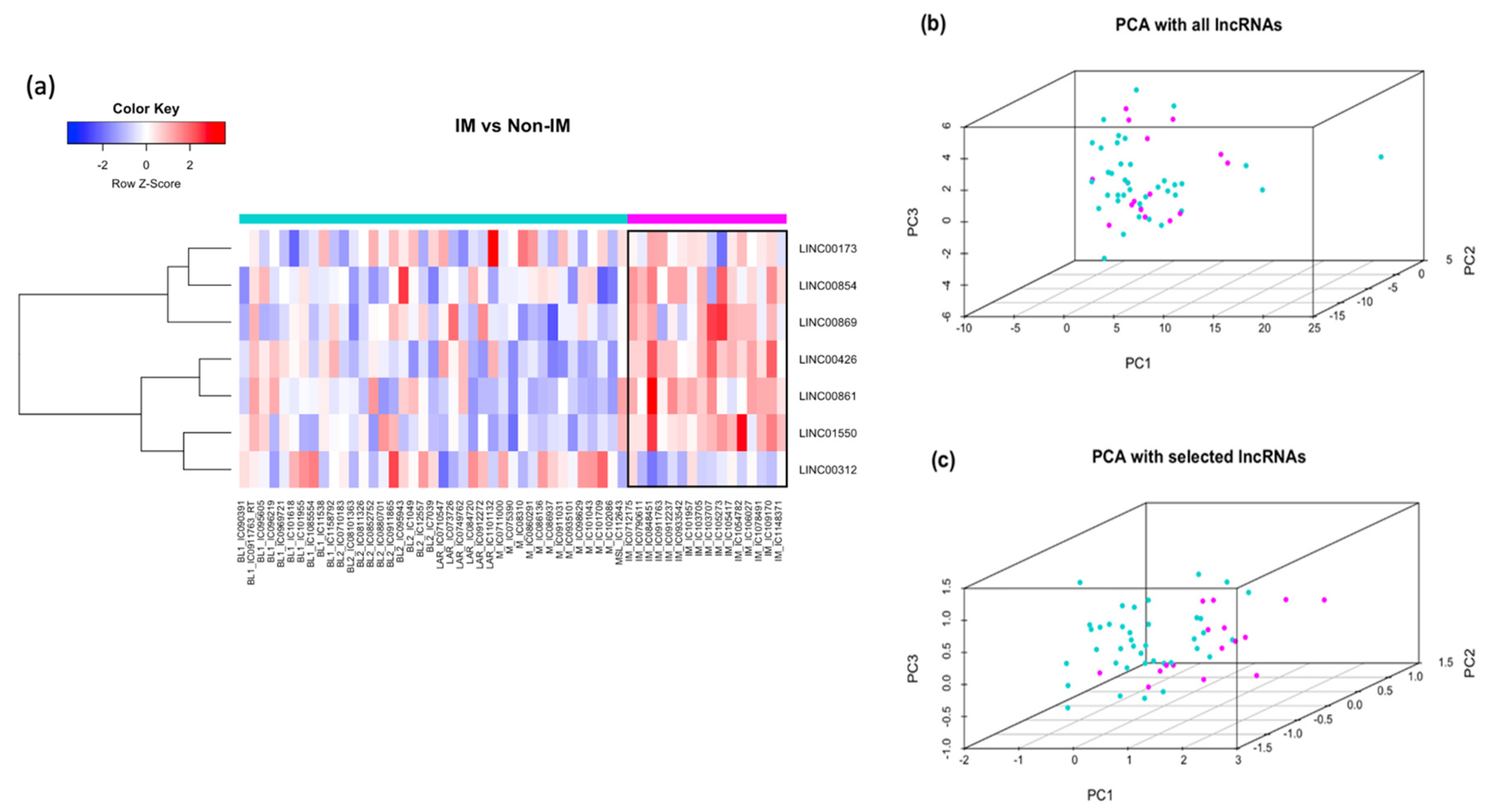 Cancers 13 06256 g003