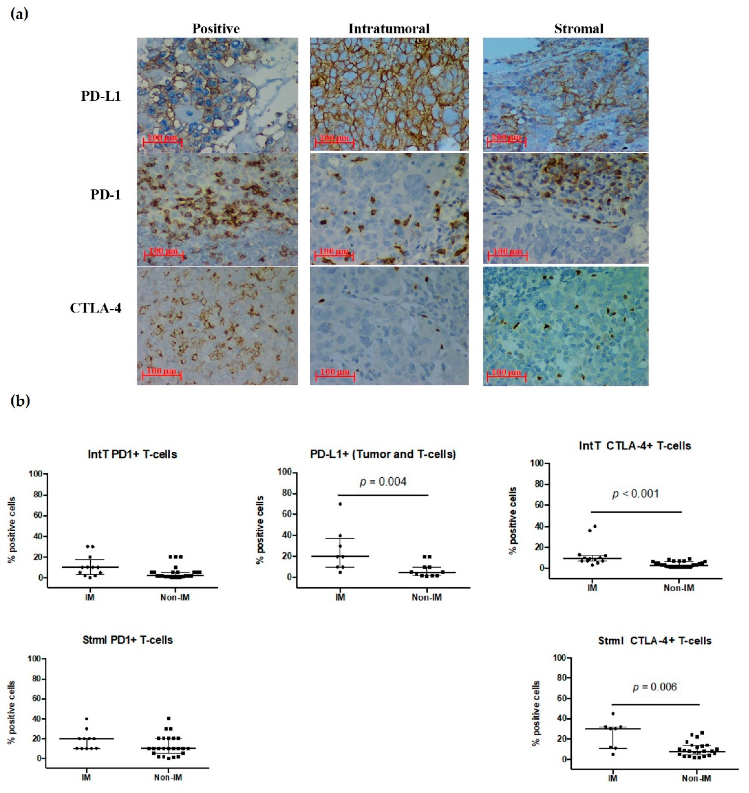 Cancers 13 06256 g004