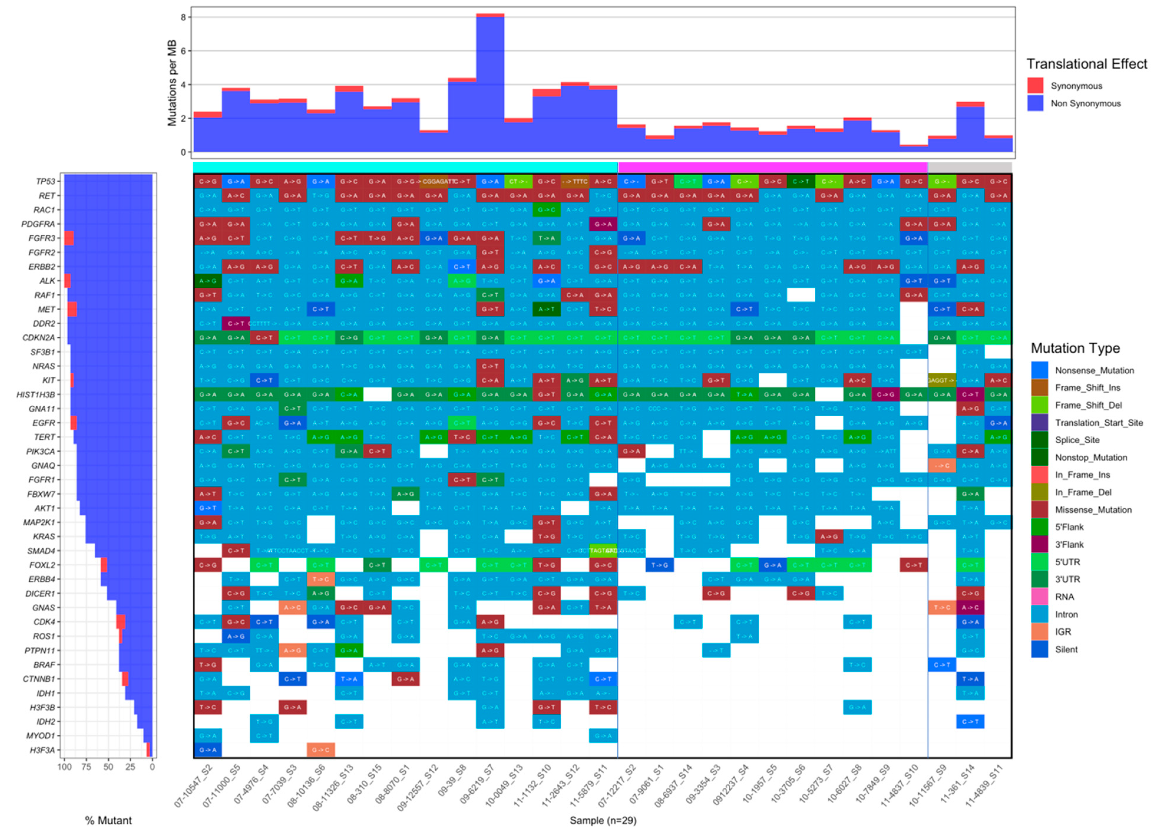 Cancers 13 06256 g005