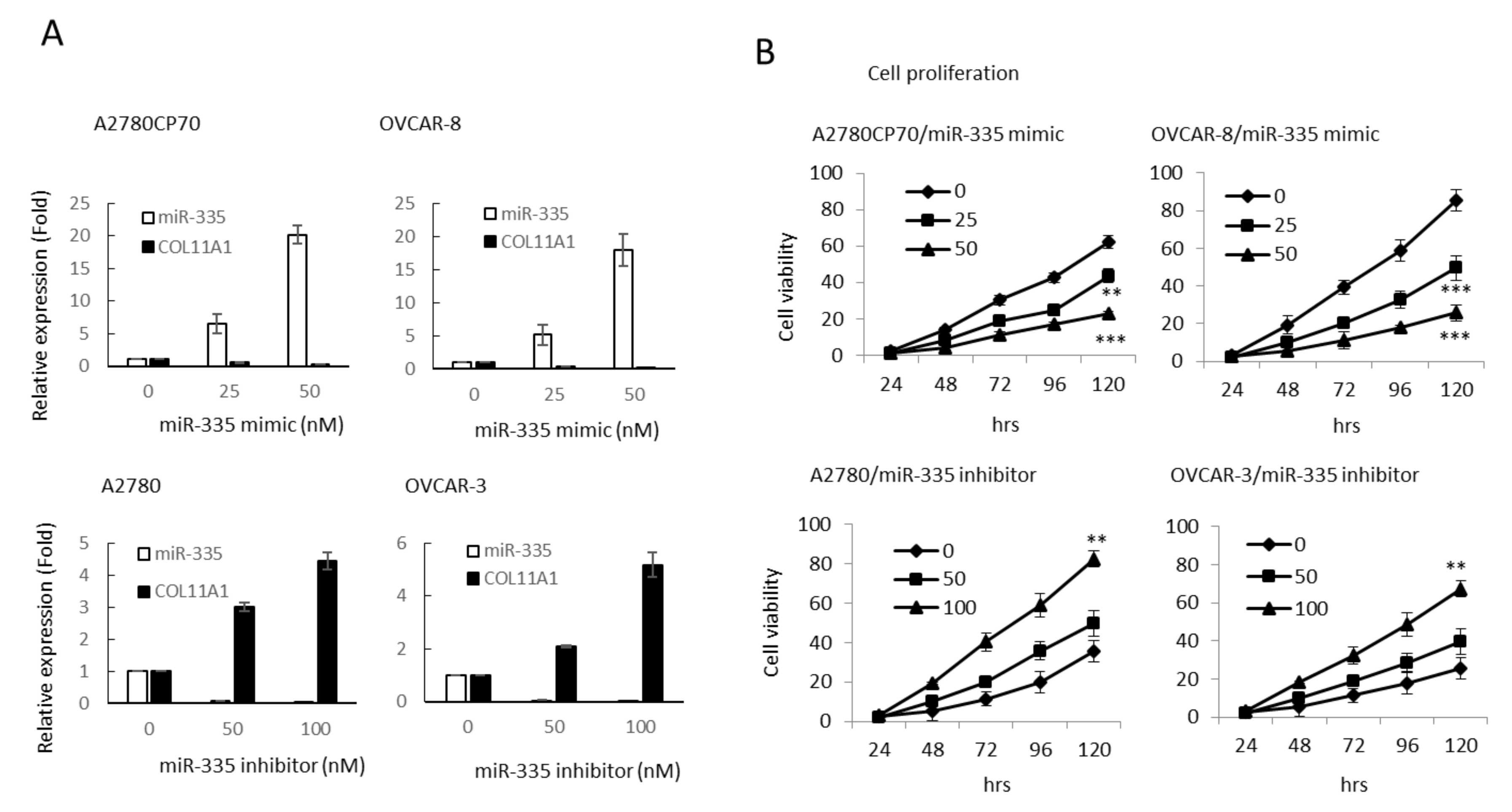 Cancers 13 06257 g002a