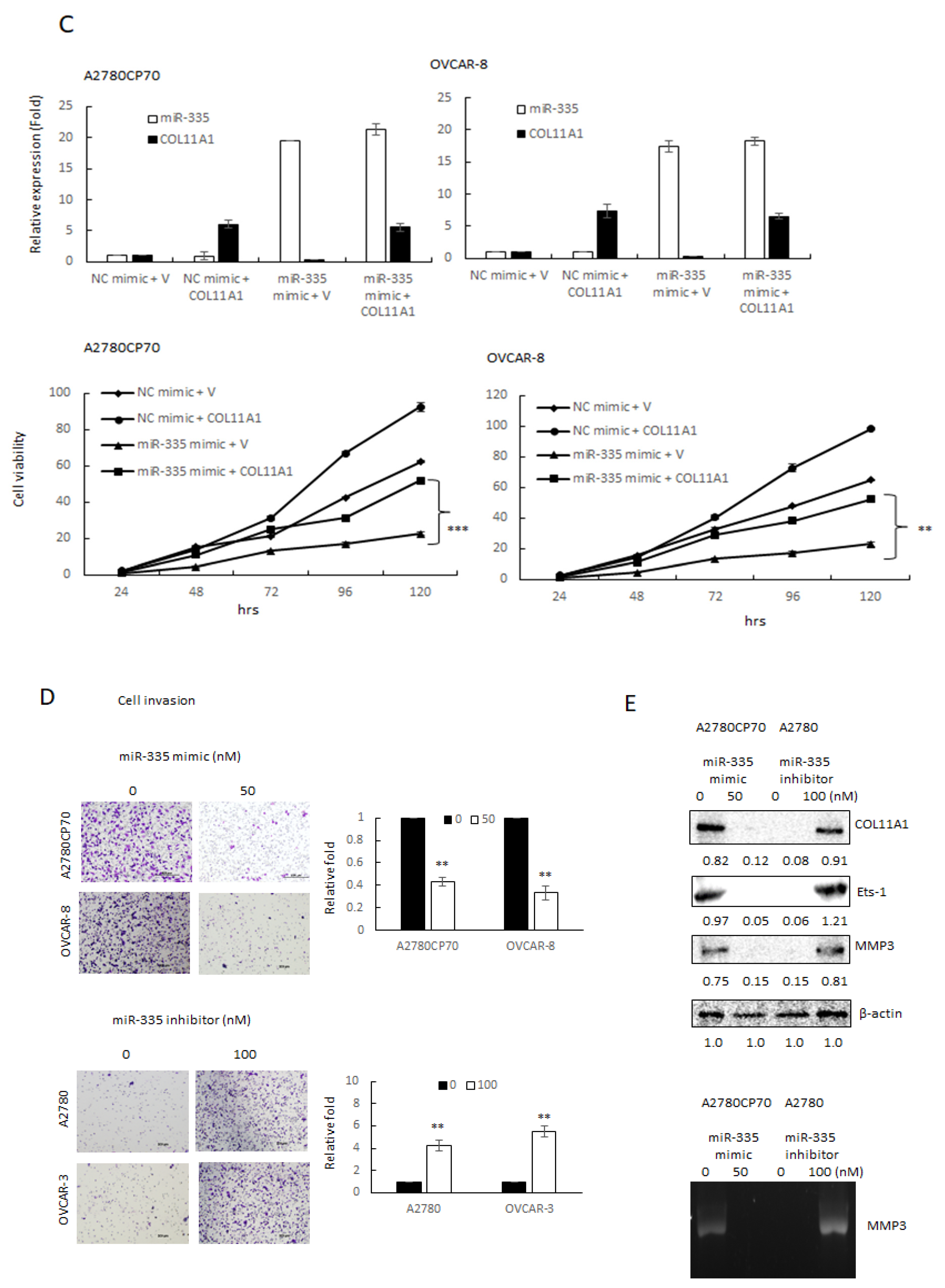 Cancers 13 06257 g002b