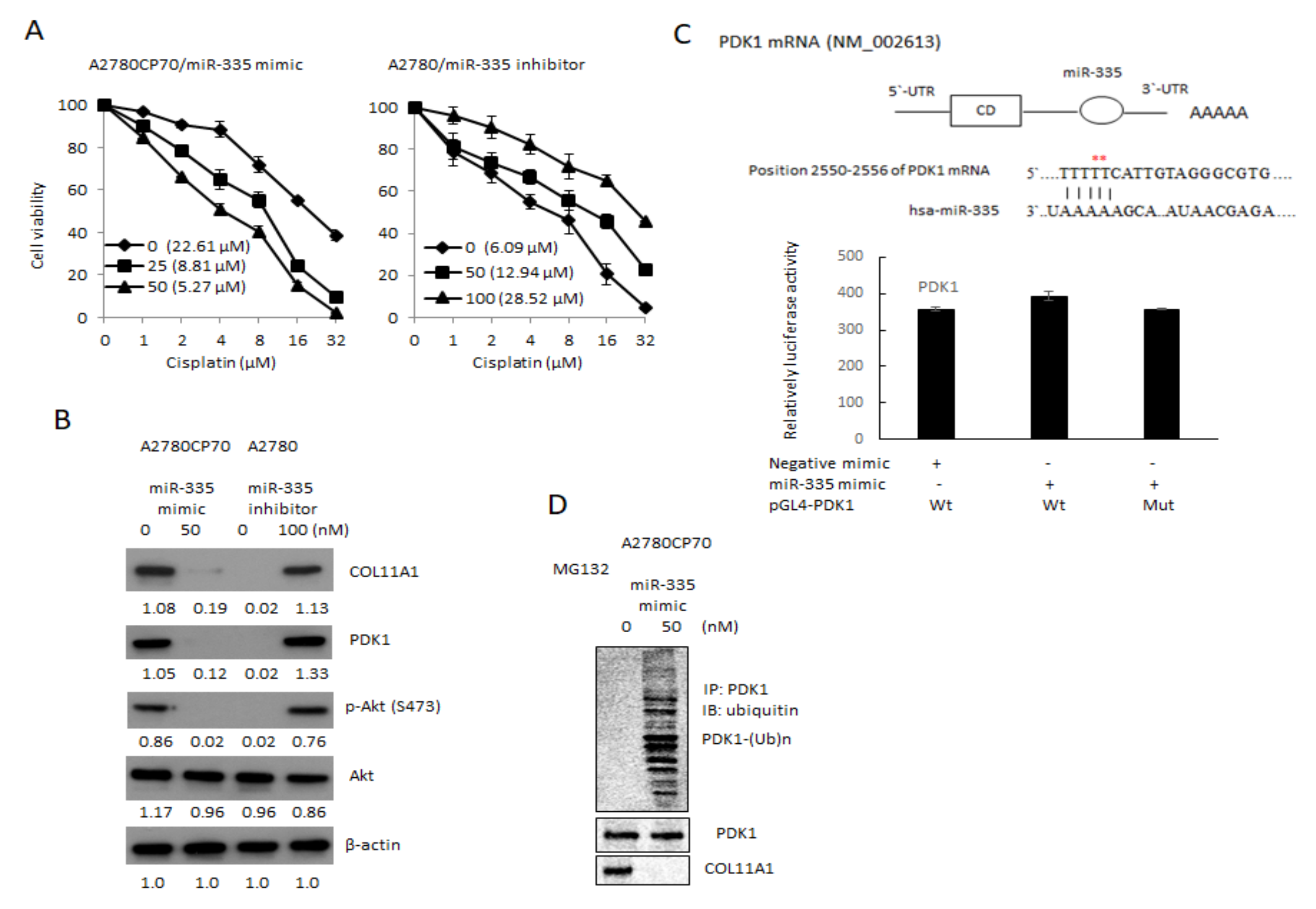 Cancers 13 06257 g003