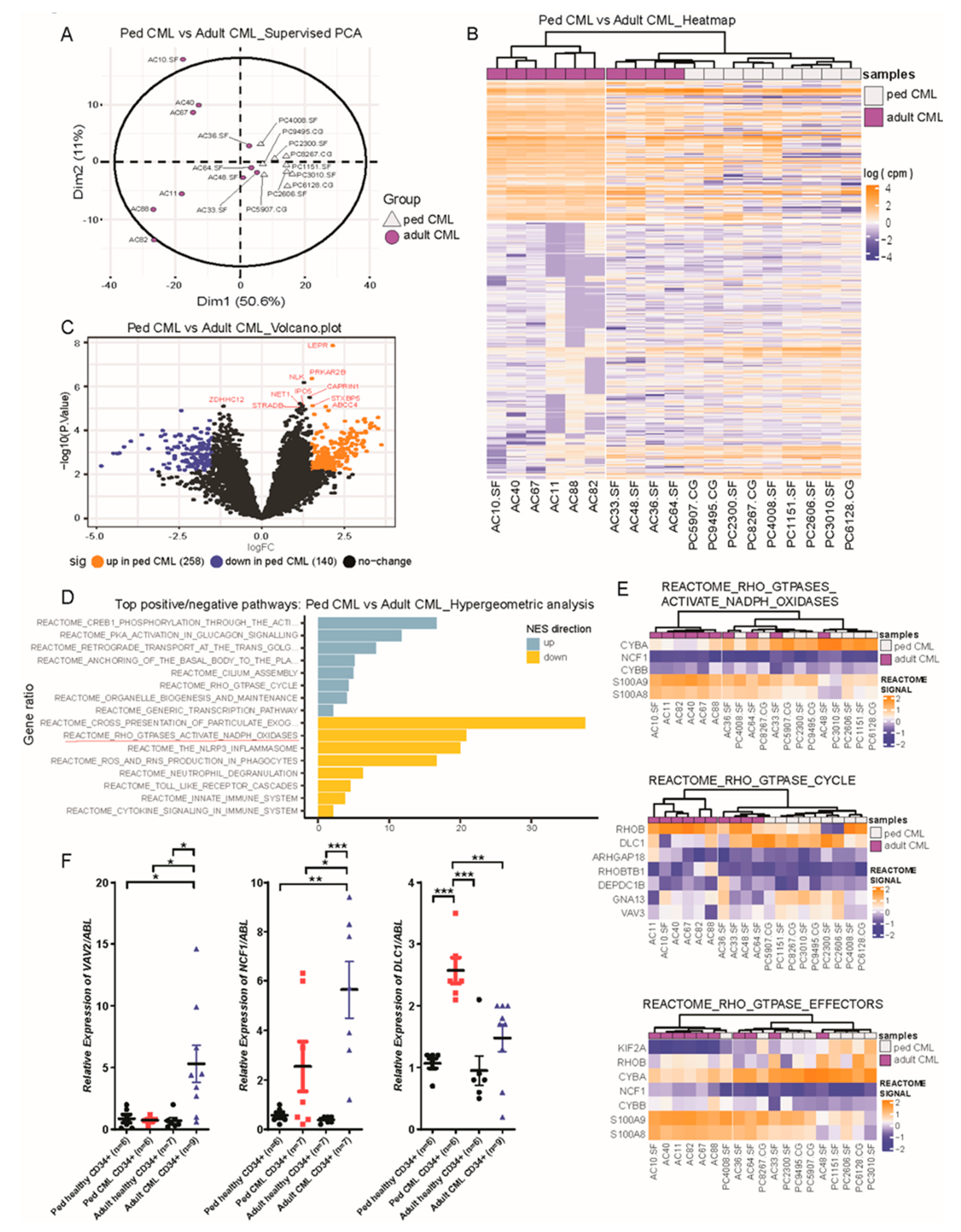 Cancers 13 06263 g001 Cancers 13 06263 g001