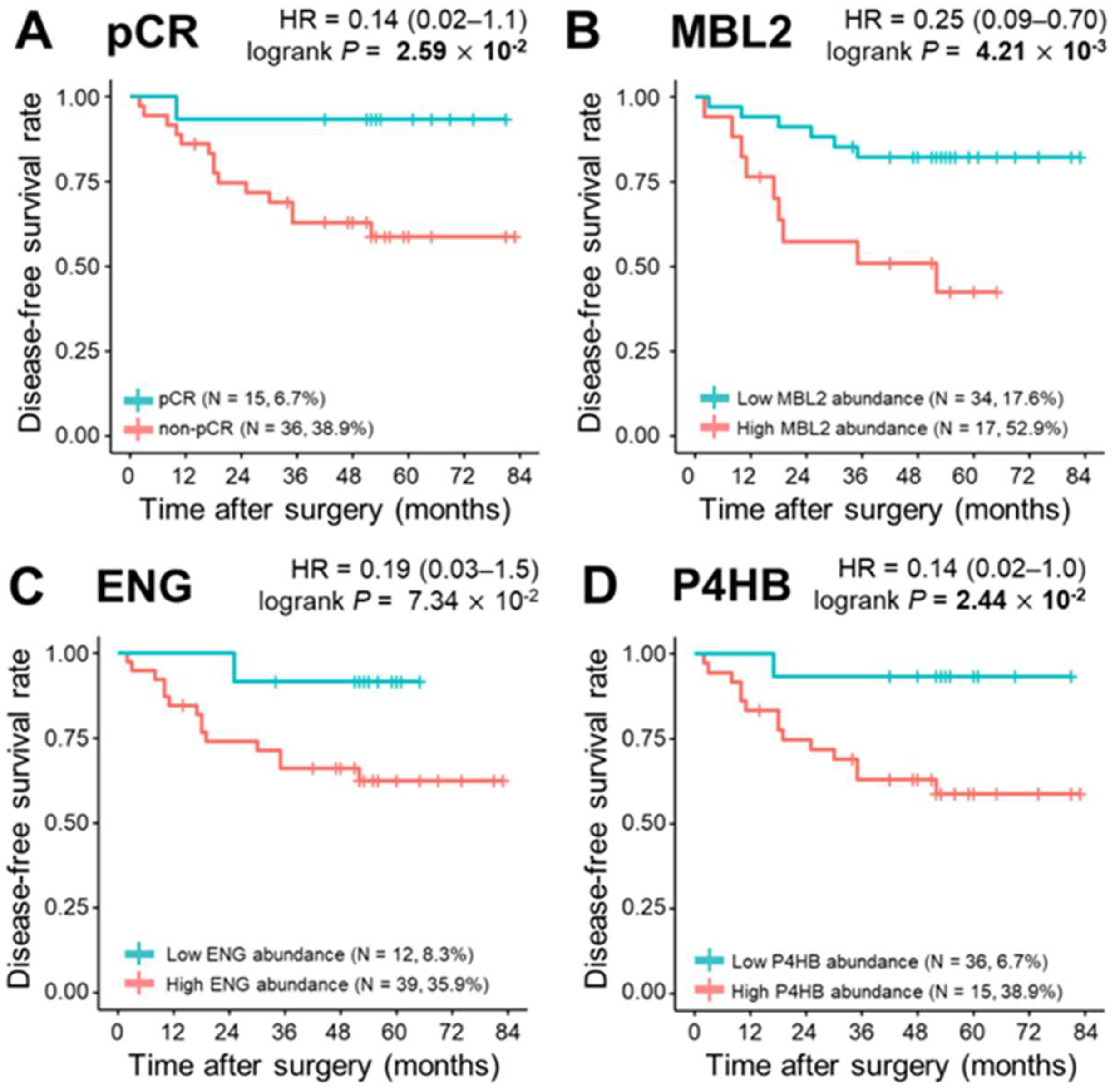 Cancers 13 06267 g004