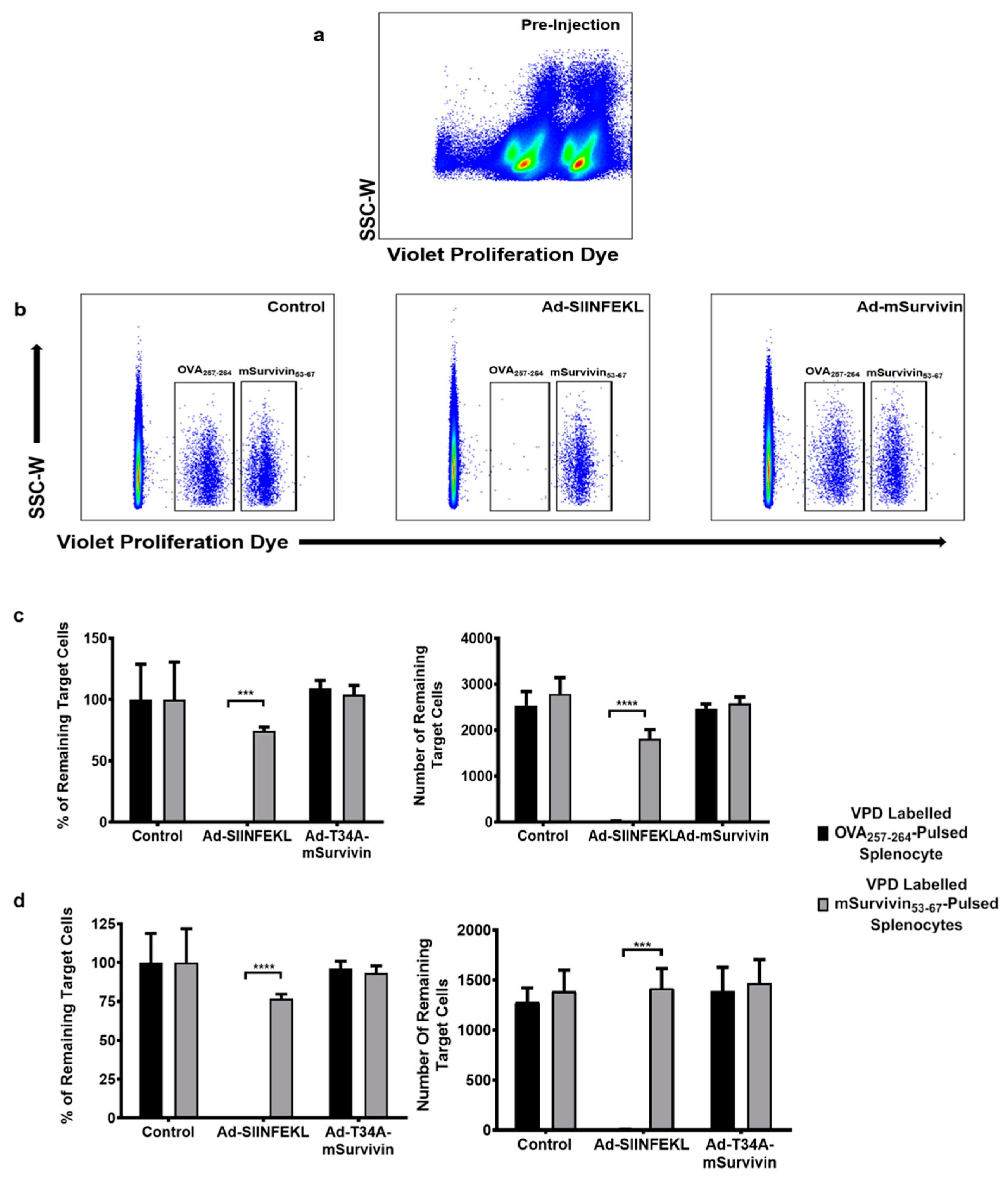 Cancers 13 06270 g002 Cancers 13 06270 g002