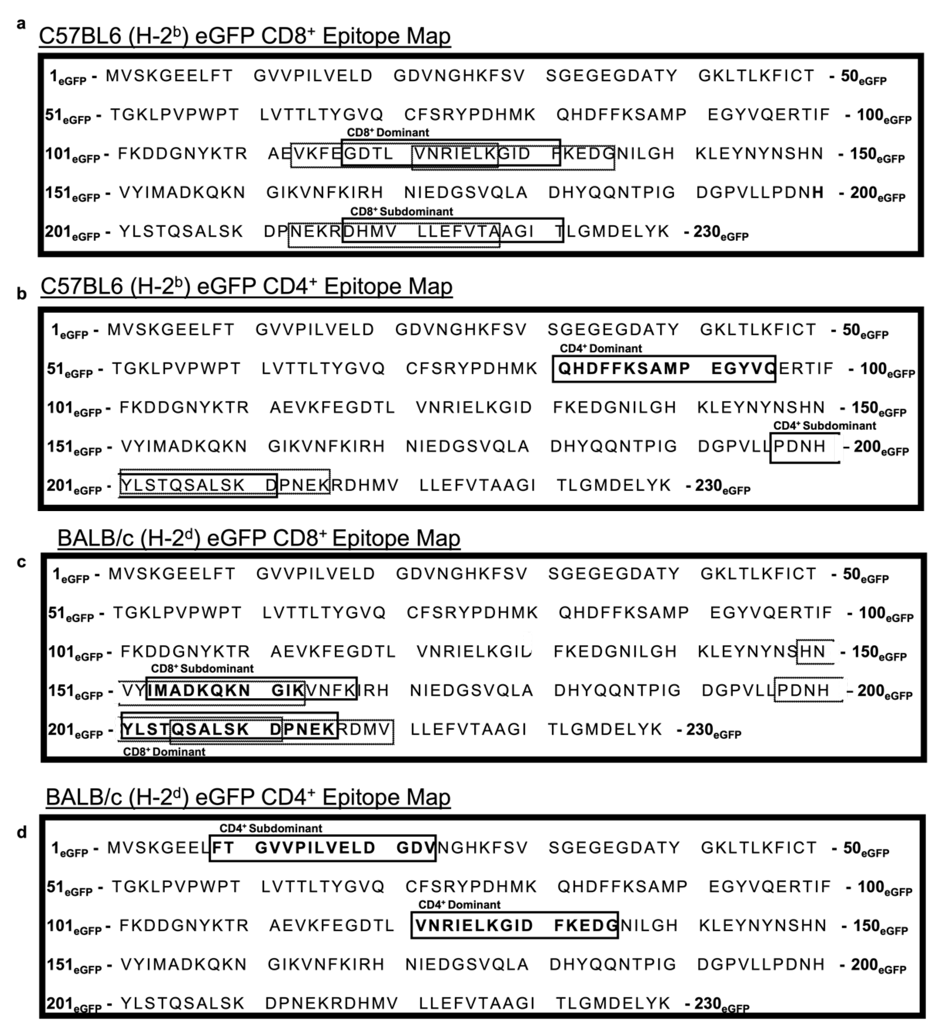 Cancers 13 06270 g006 Cancers 13 06270 g006