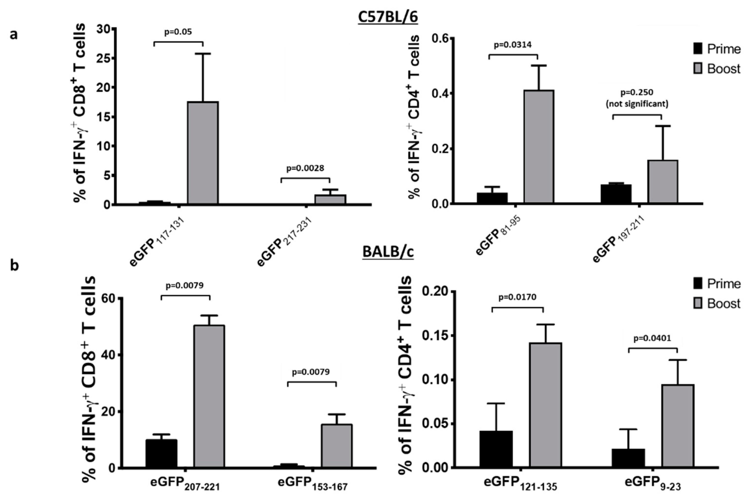Cancers 13 06270 g007 Cancers 13 06270 g007