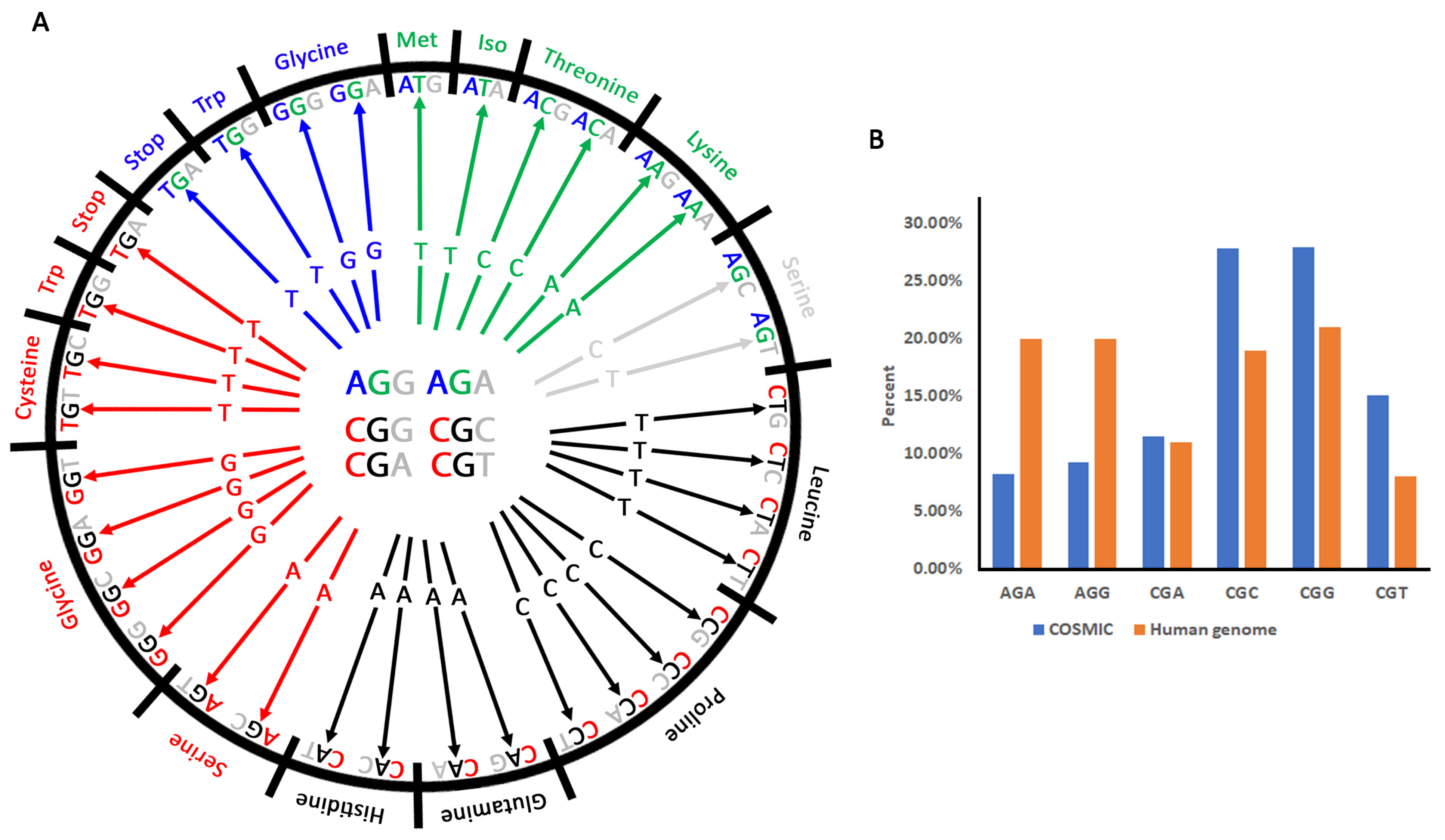 Cancers 13 06274 g001