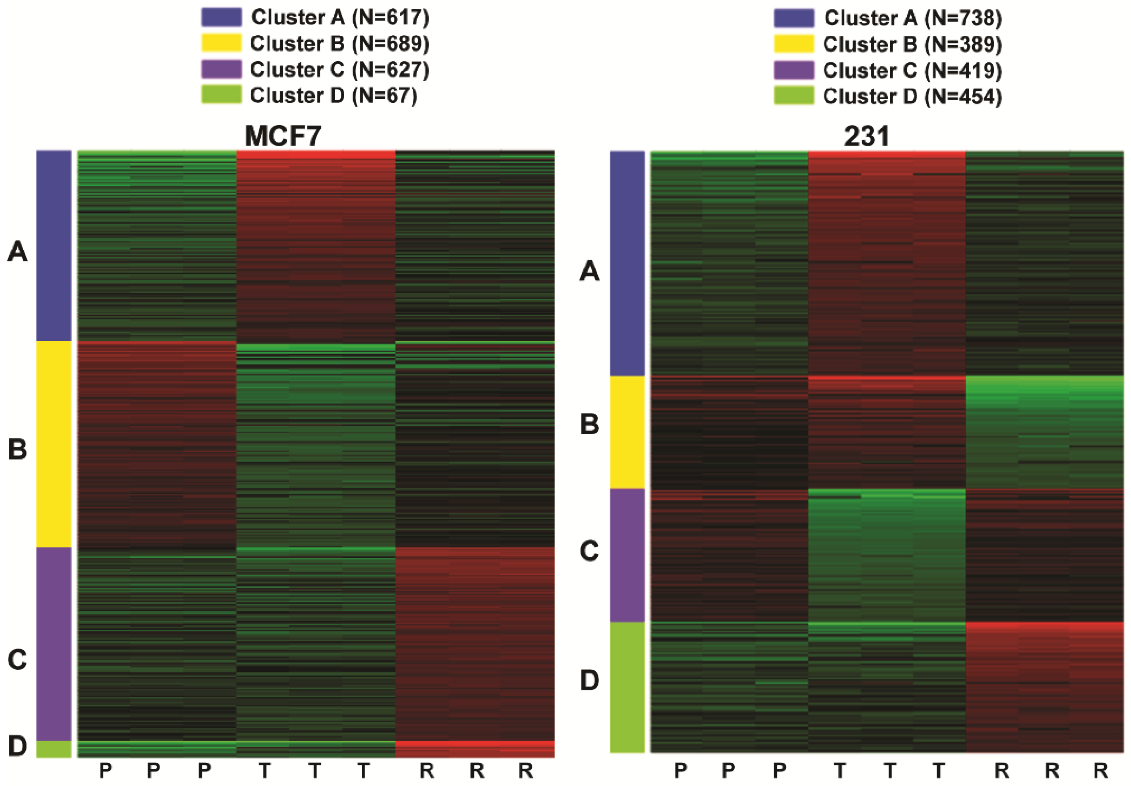 Cancers 13 06282 g002
