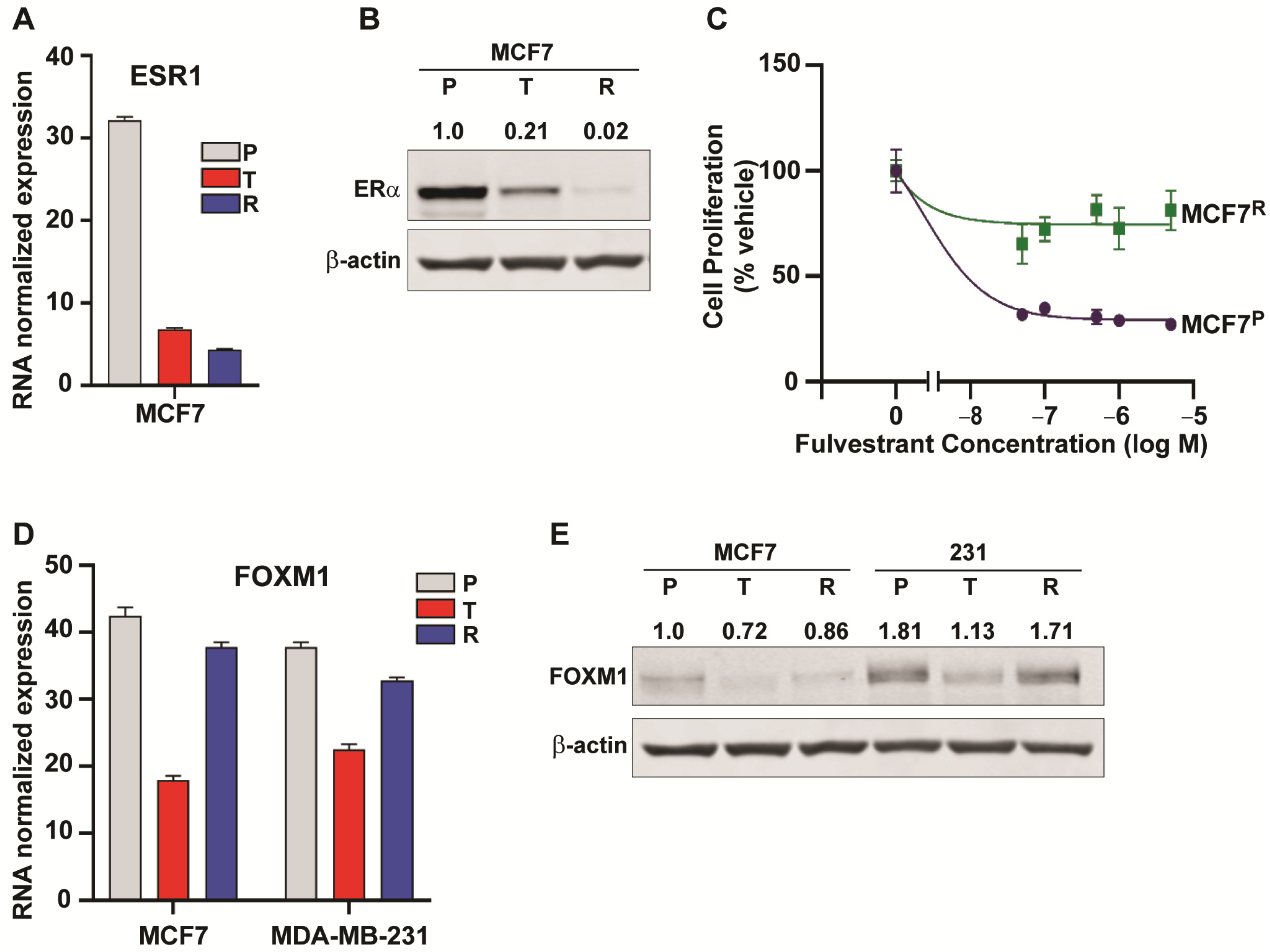 Cancers 13 06282 g004