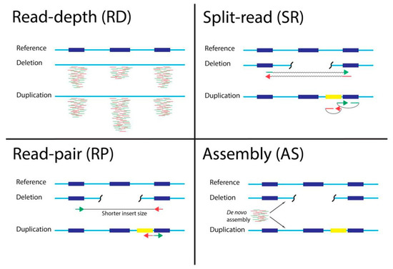 A Comparison of Tools for Copy-Number Variation Detection in 