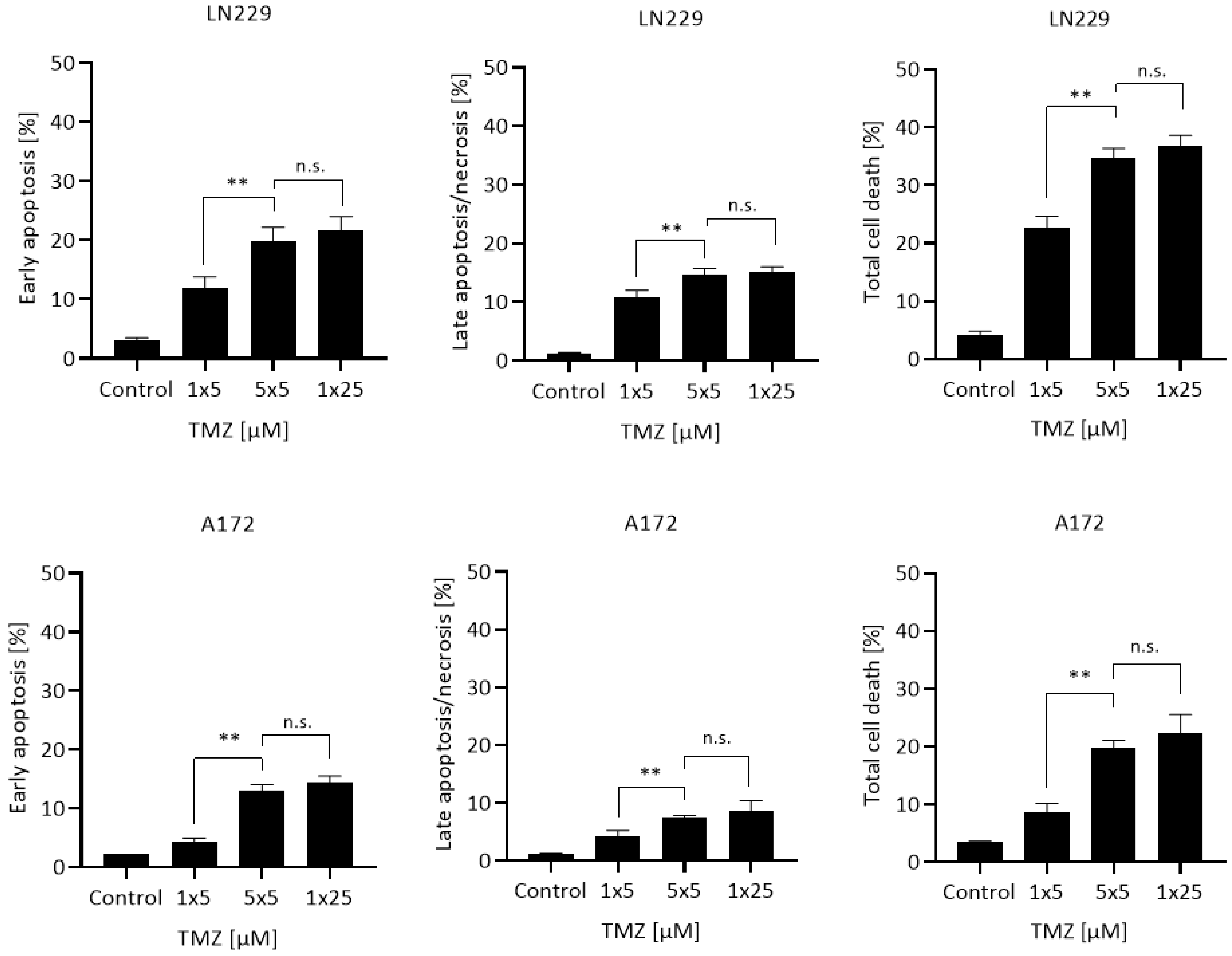Cancers 13 06287 g001