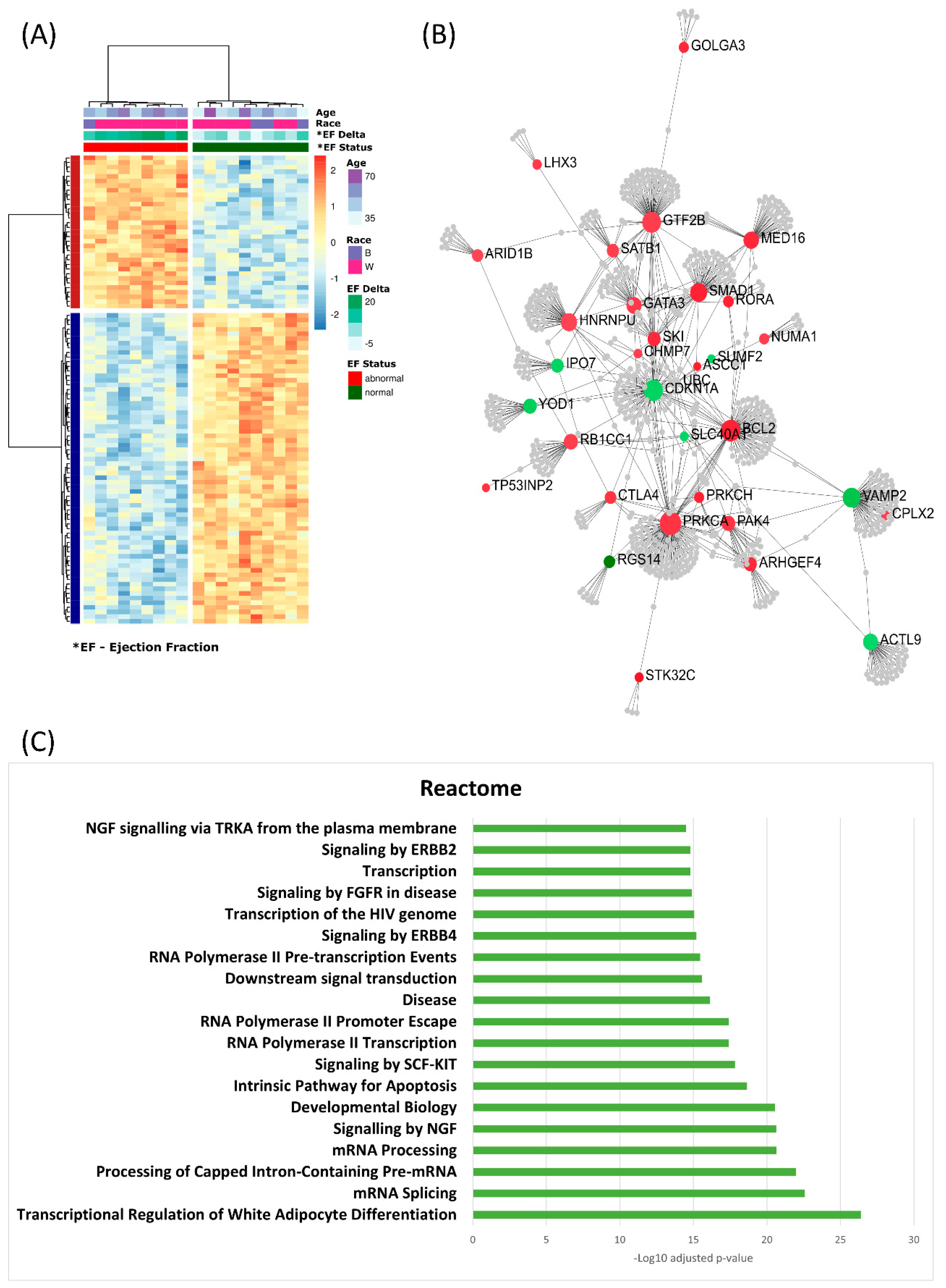 Cancers 13 06291 g006 Cancers 13 06291 g006