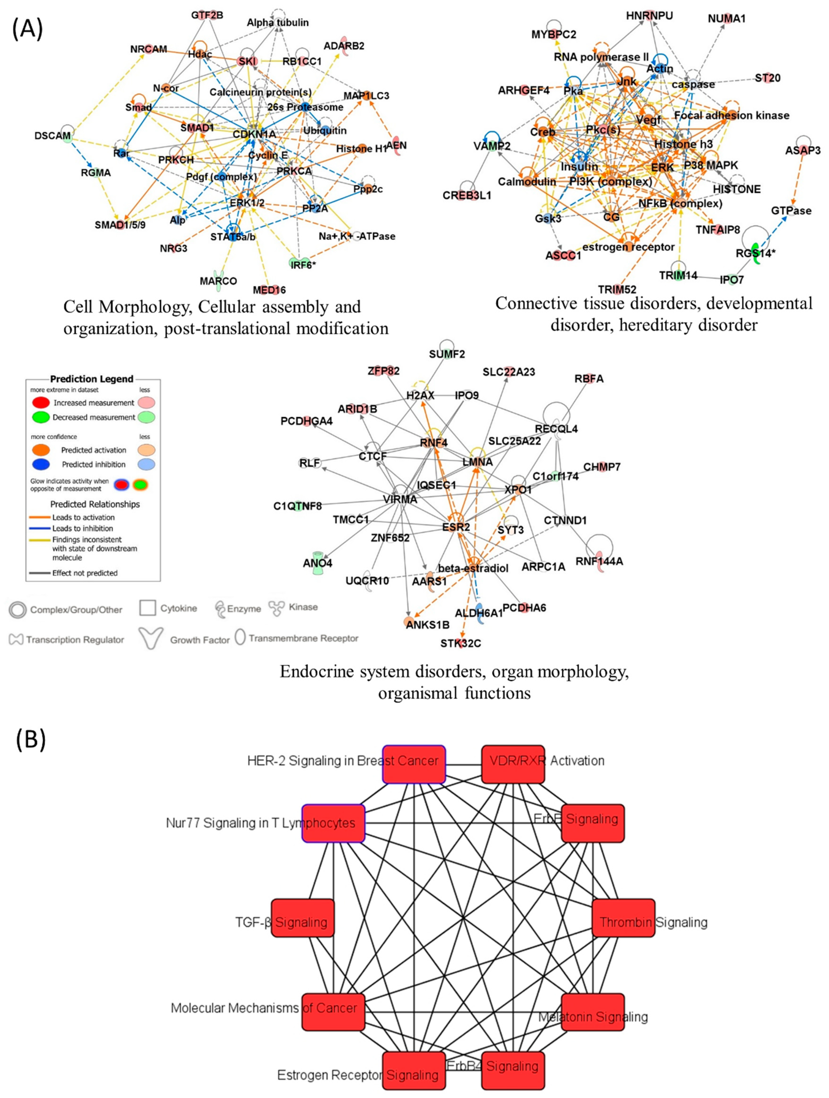 Cancers 13 06291 g009 Cancers 13 06291 g009