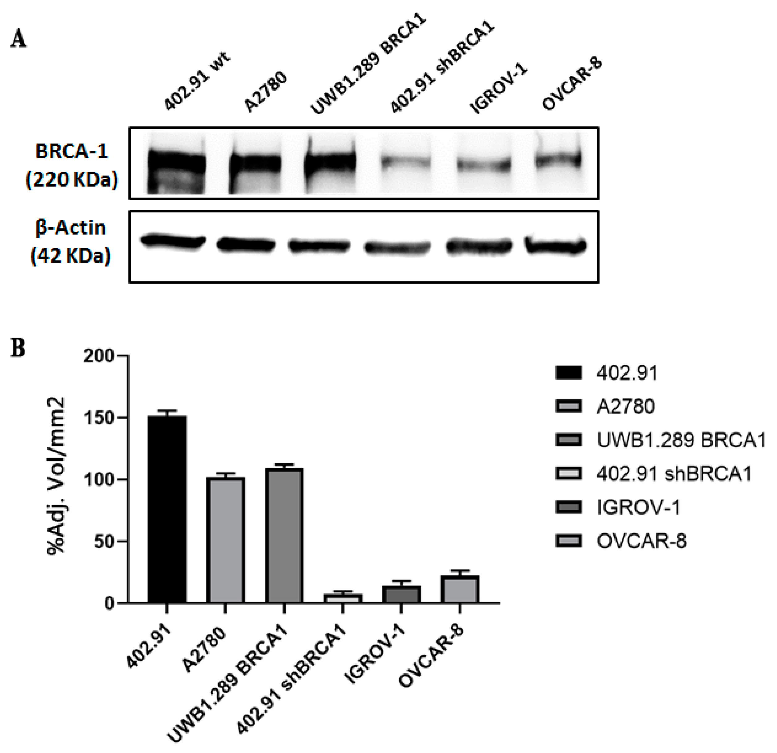 Cancers 13 06295 g002
