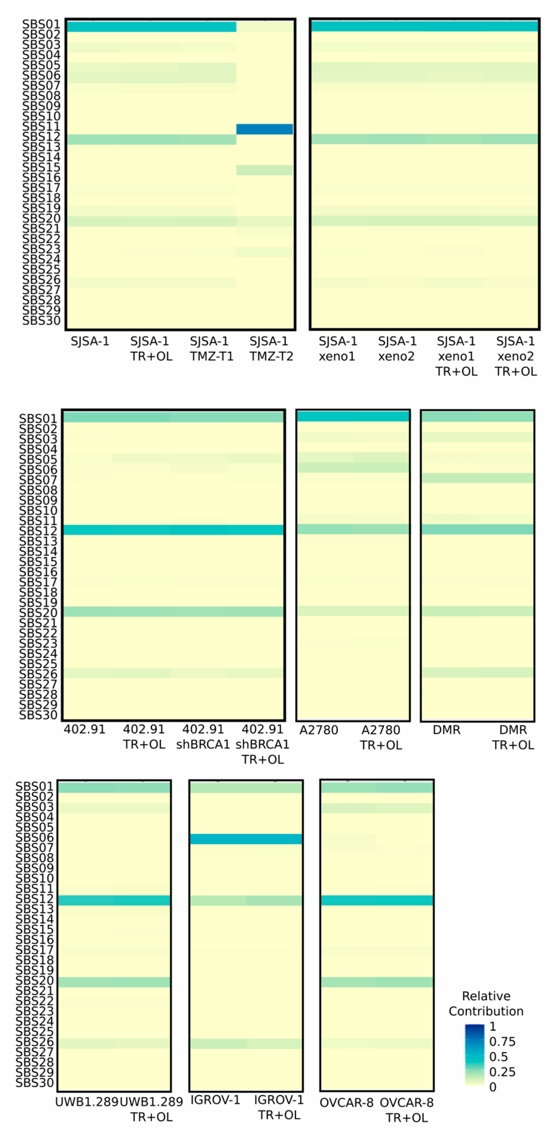 Cancers 13 06295 g005