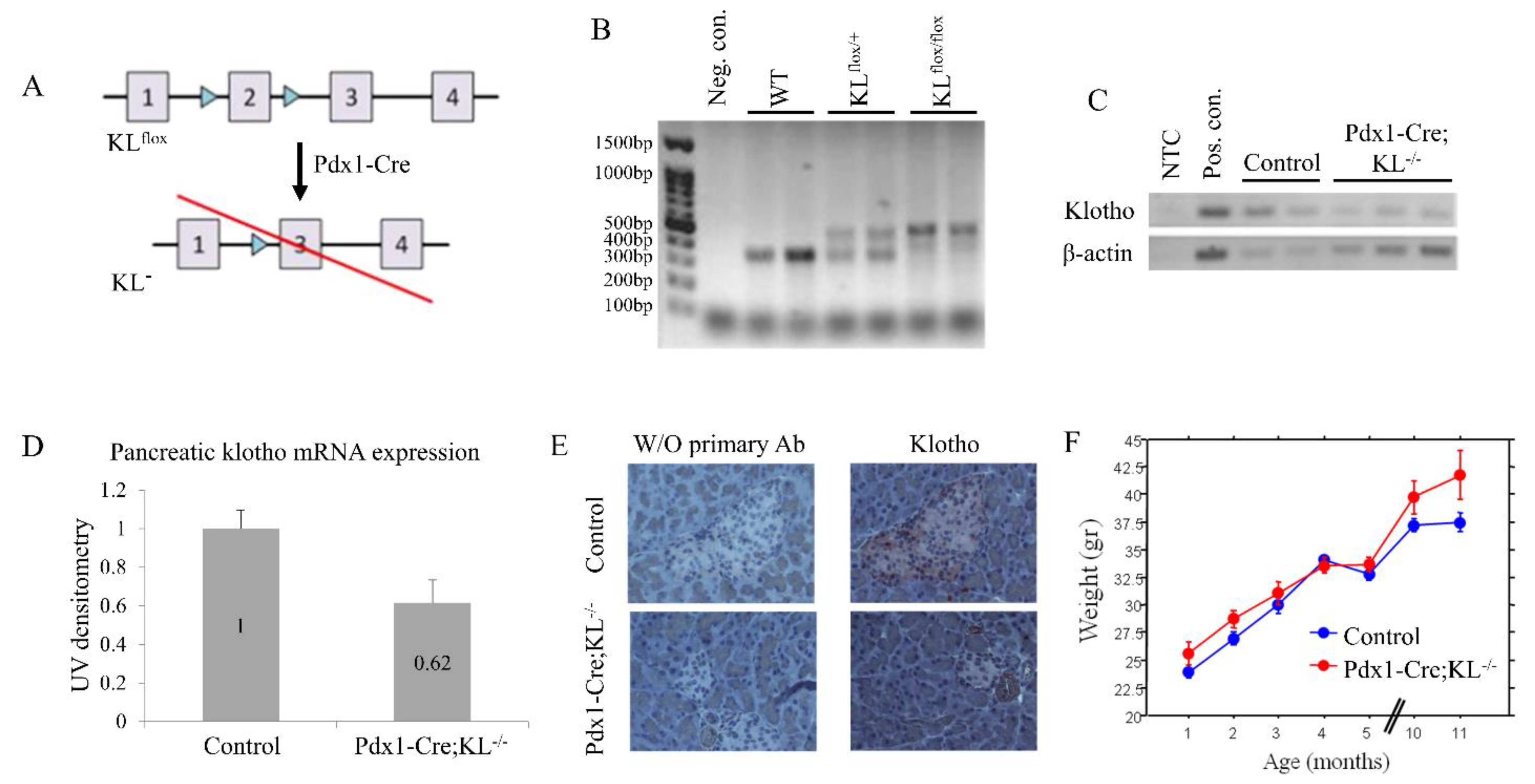 Cancers 13 06297 g003 550