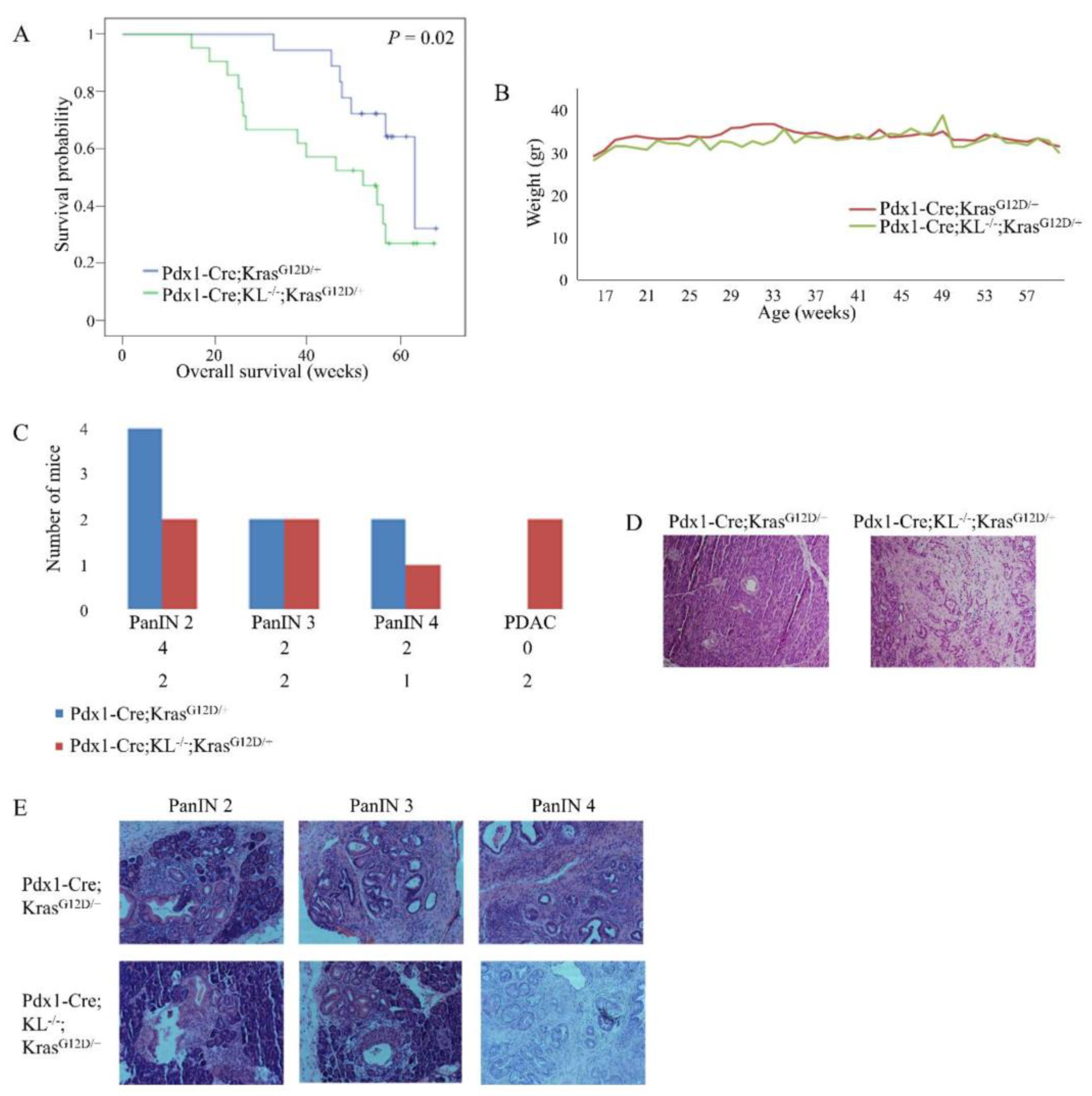 Cancers 13 06297 g004 550