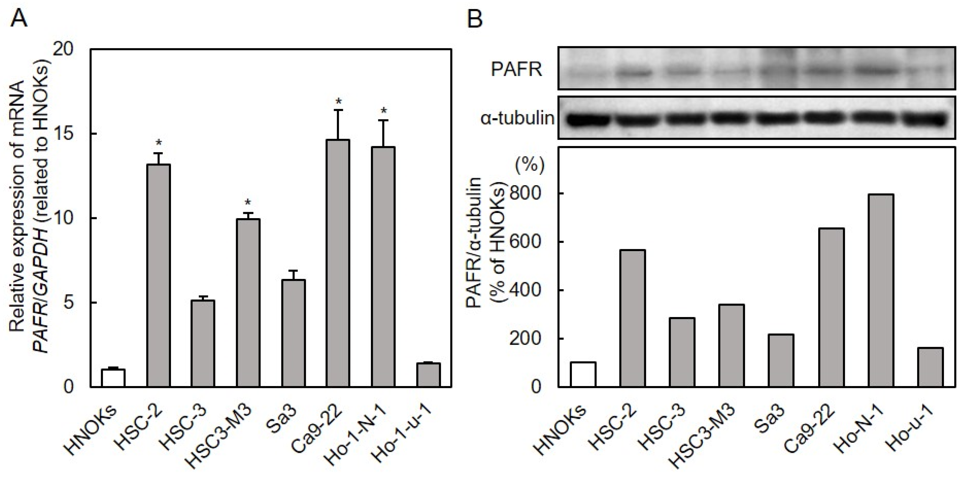 Cancers 13 06299 g001 Cancers 13 06299 g001