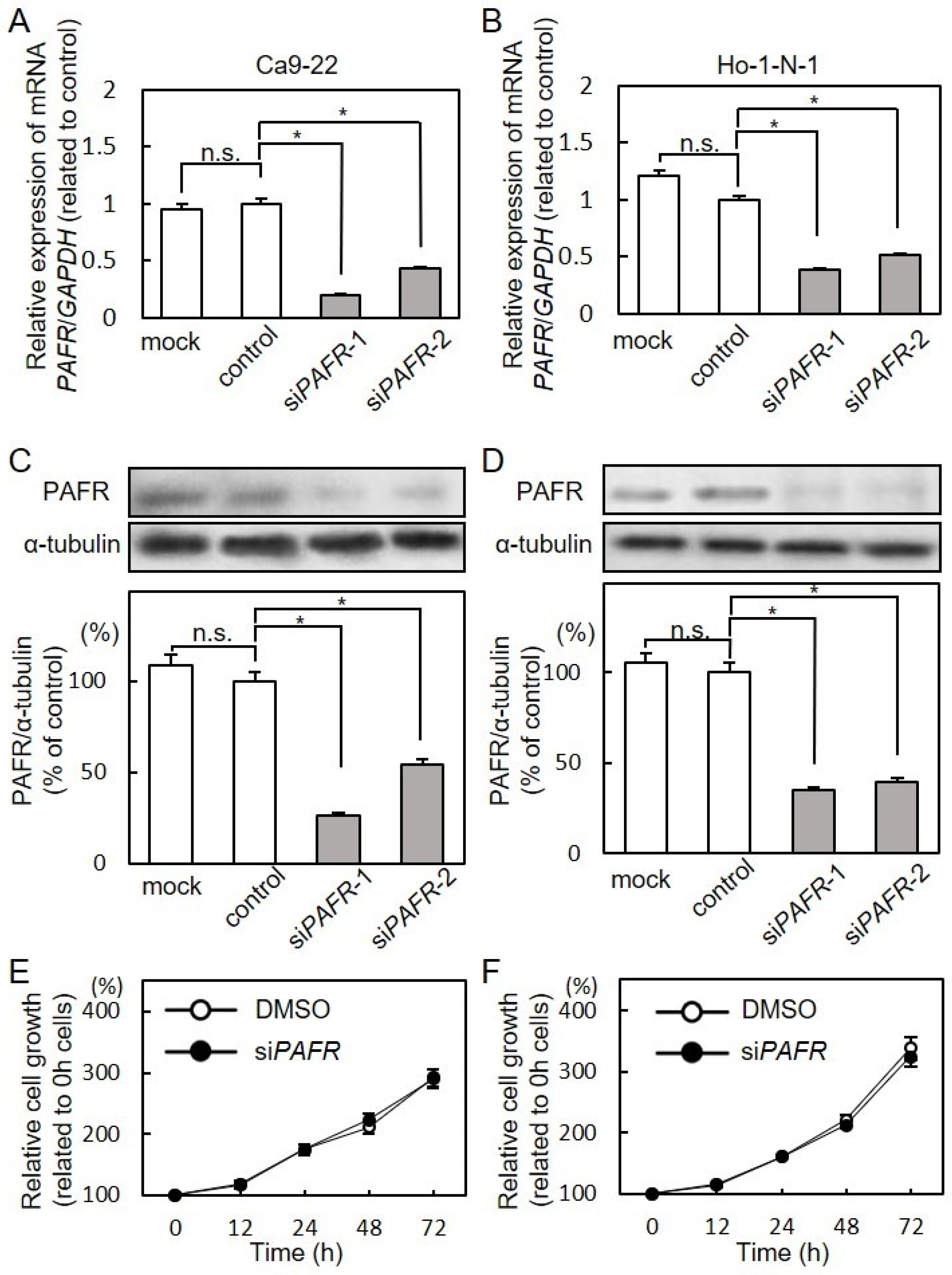 Cancers 13 06299 g003 Cancers 13 06299 g003