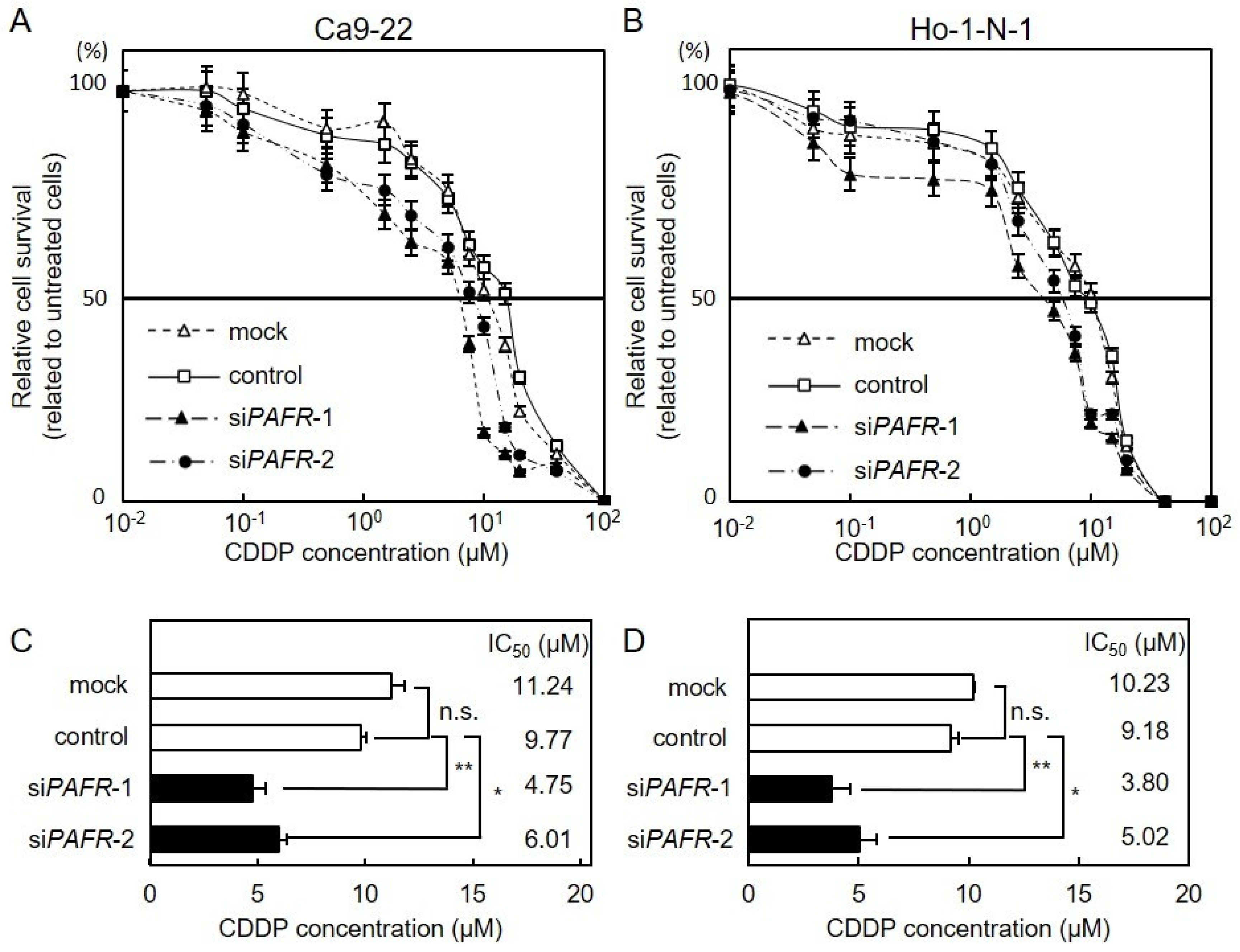 Cancers 13 06299 g004 Cancers 13 06299 g004