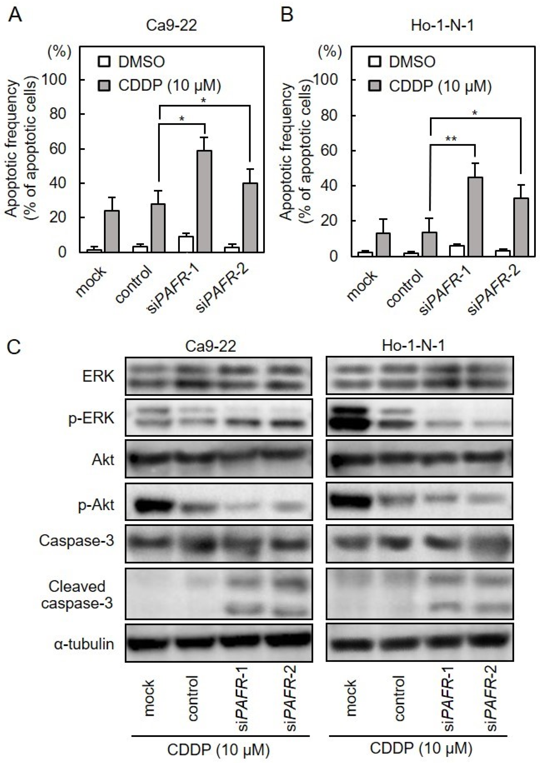 Cancers 13 06299 g005 Cancers 13 06299 g005