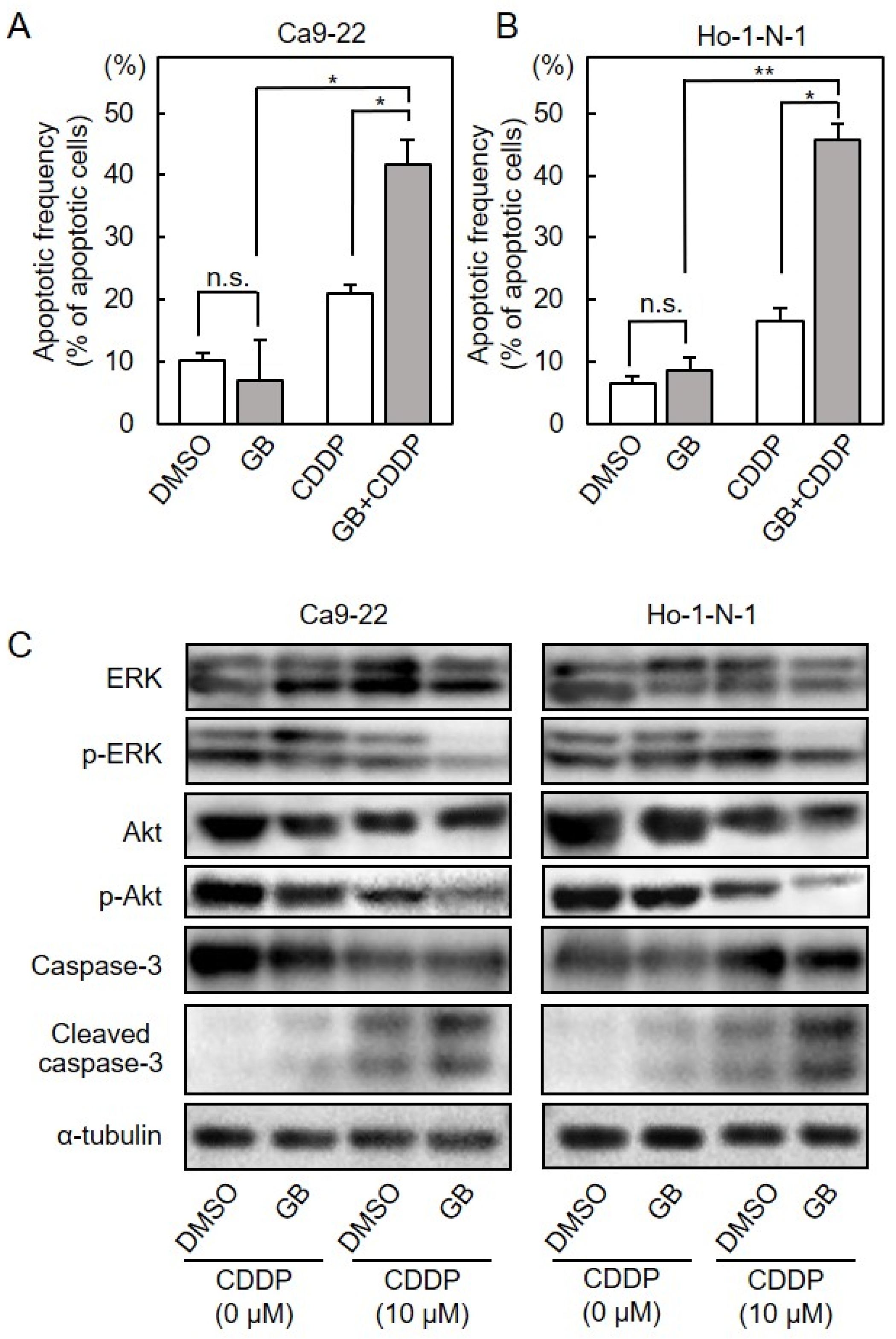 Cancers 13 06299 g008 Cancers 13 06299 g008