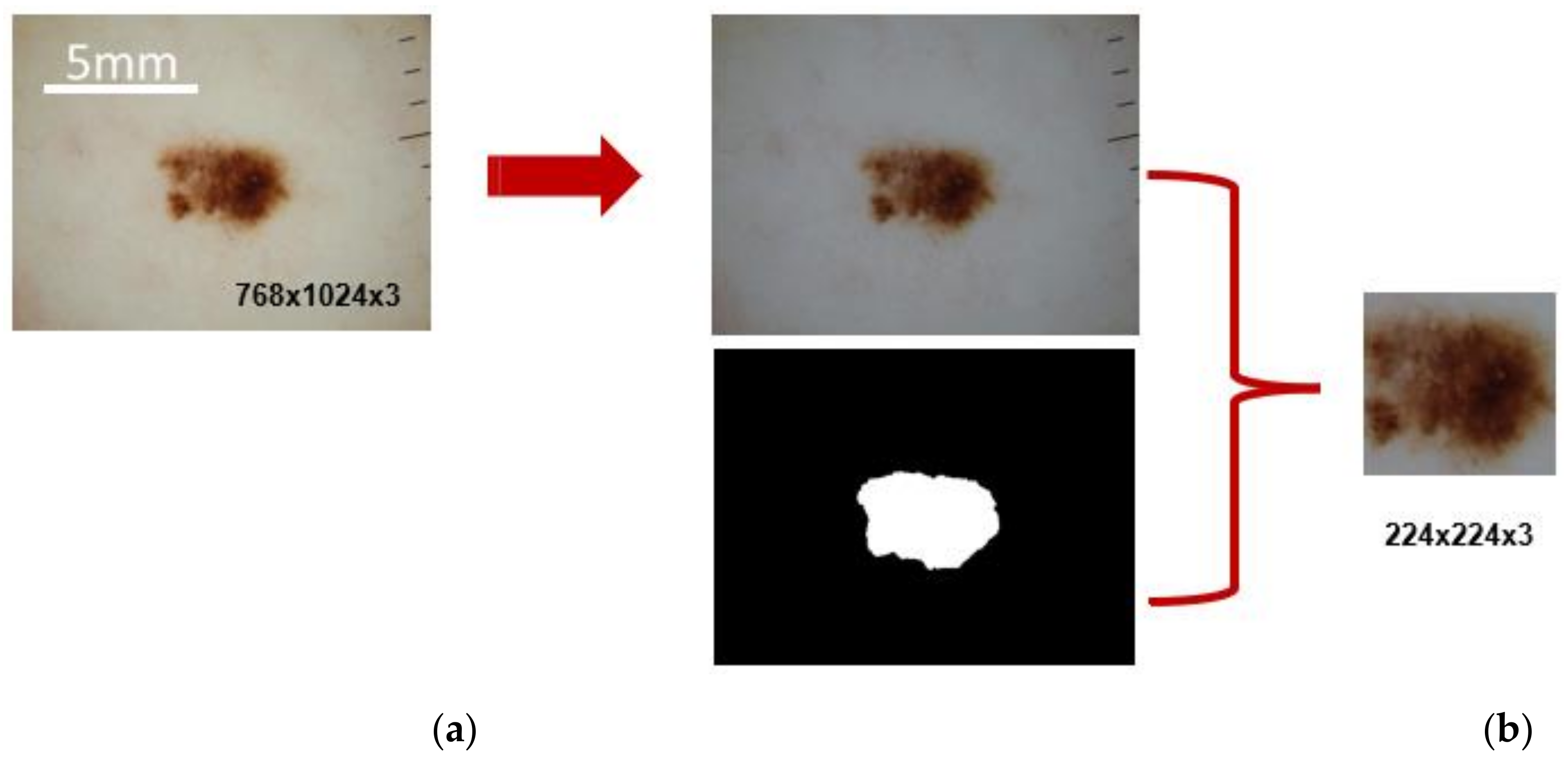 Cancers 13 06300 g004 550