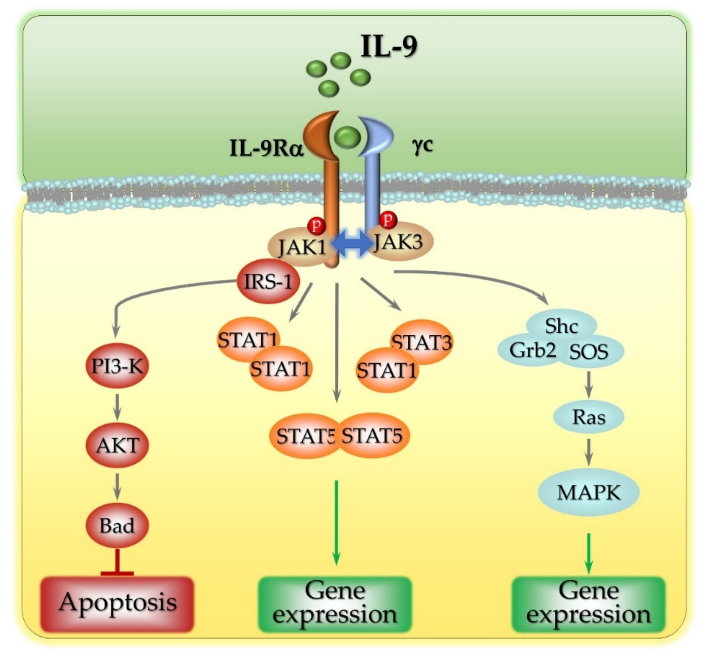 Cancers 13 06301 g001 Cancers 13 06301 g001