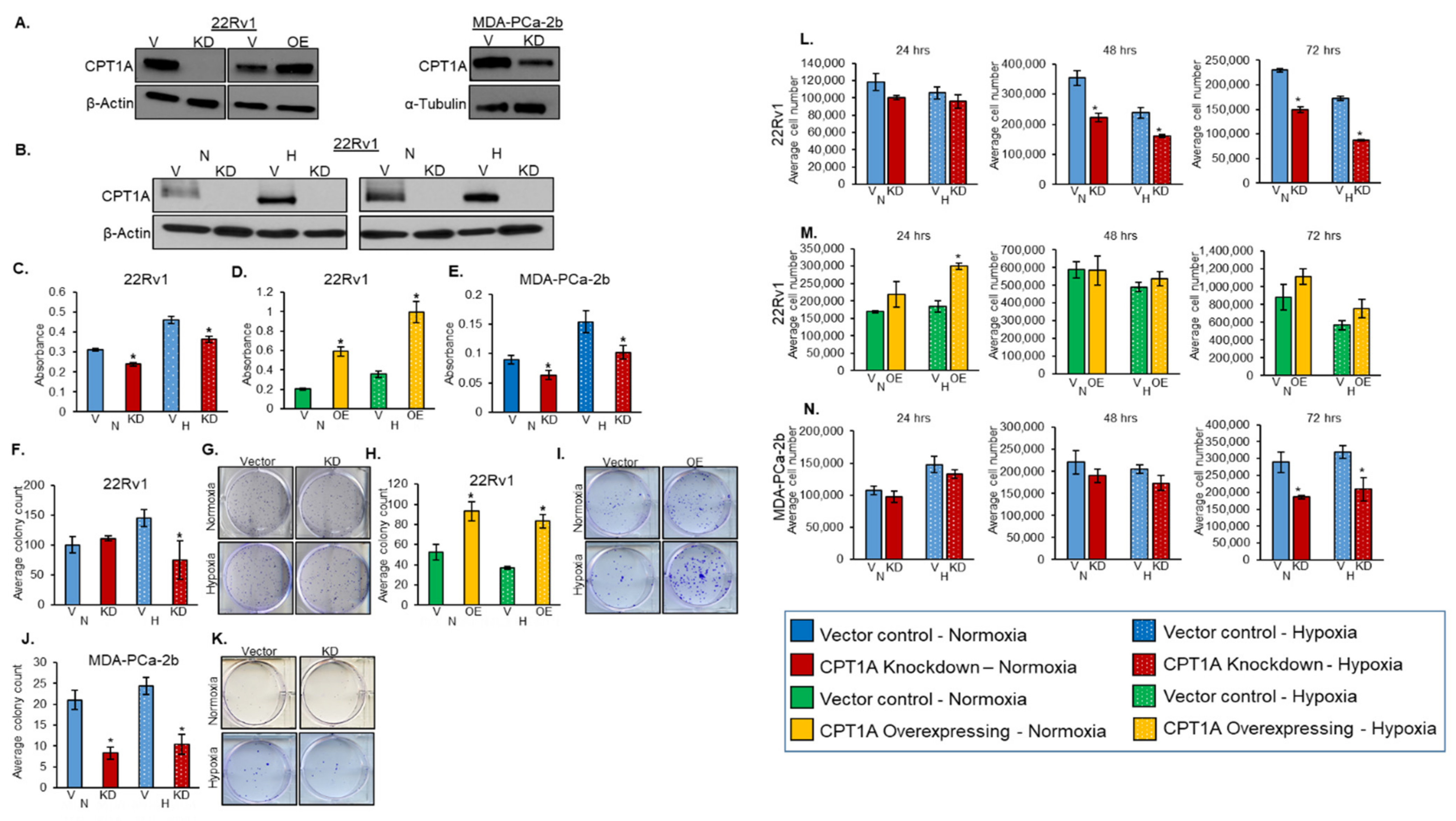 Cancers 13 06302 g001 550