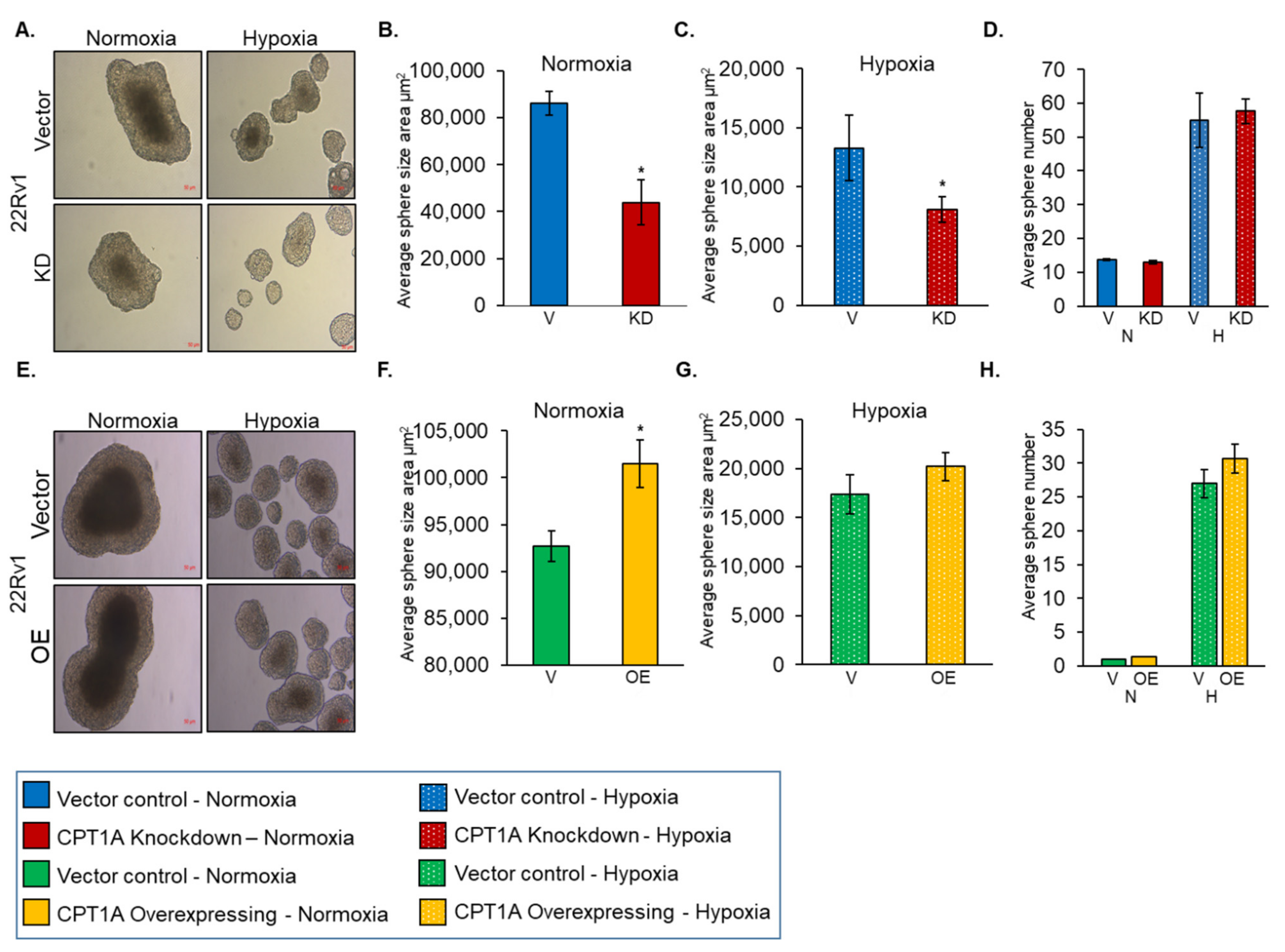 Cancers 13 06302 g002 550