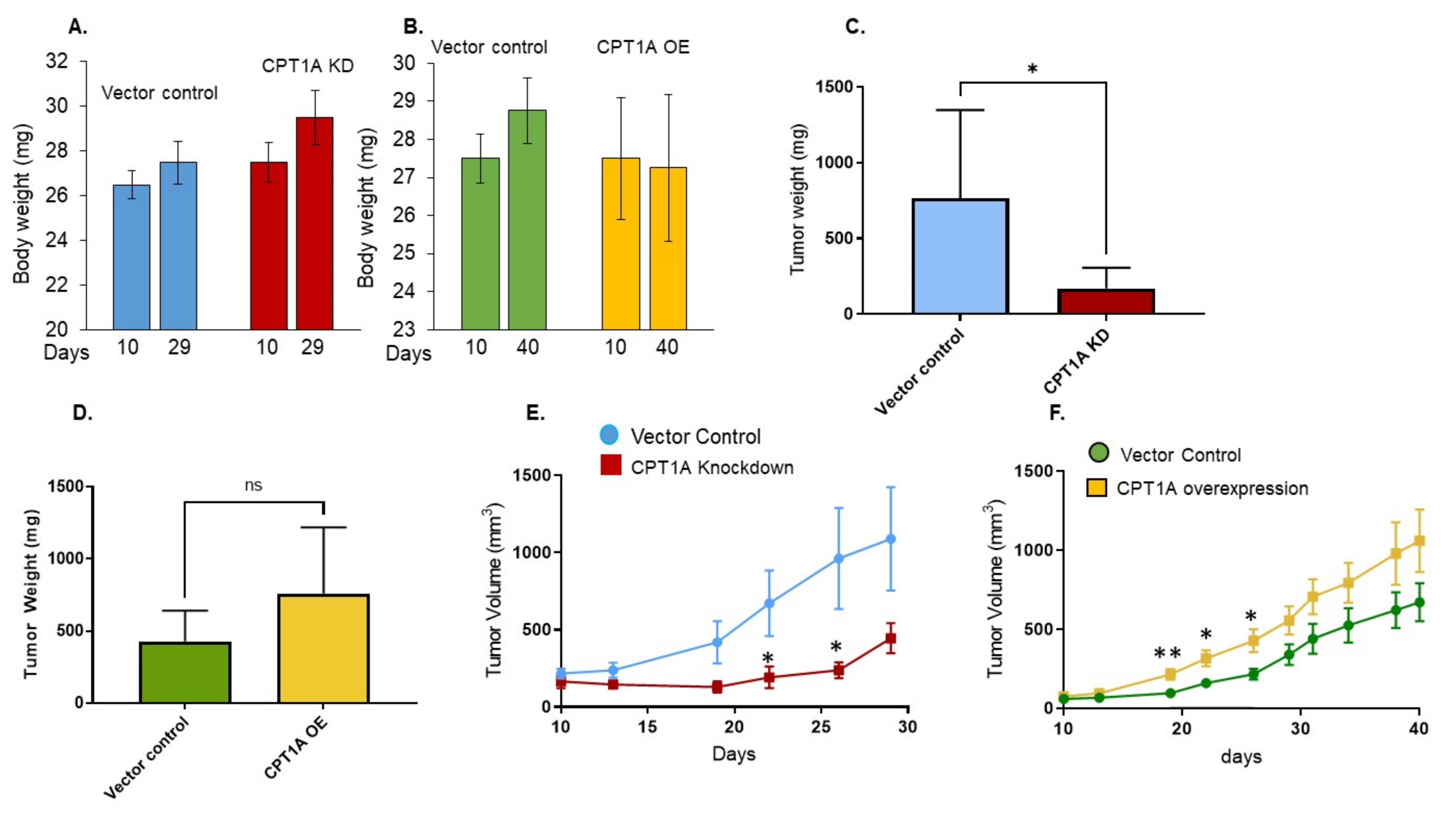 Cancers 13 06302 g003 550