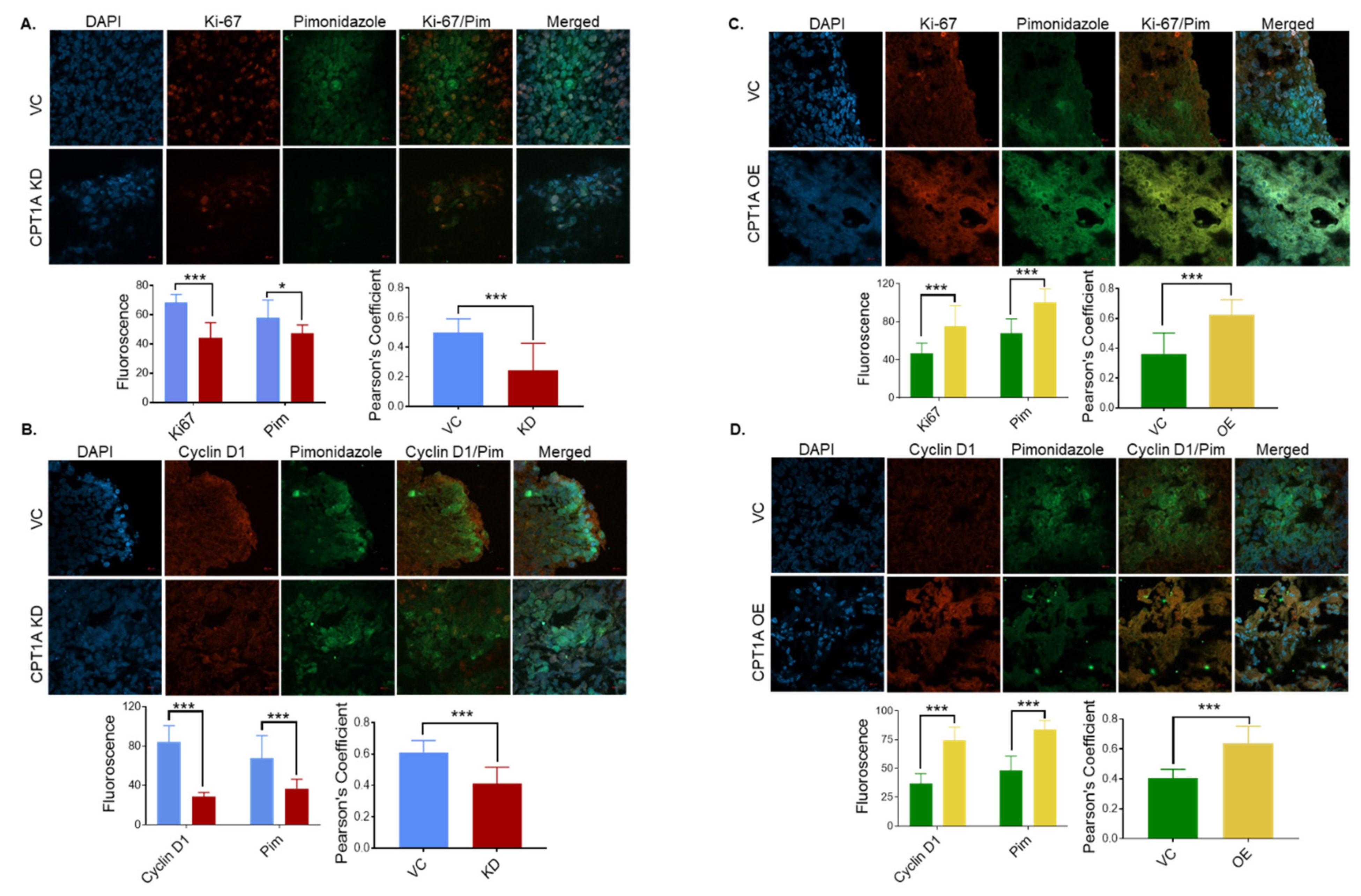 Cancers 13 06302 g004 550