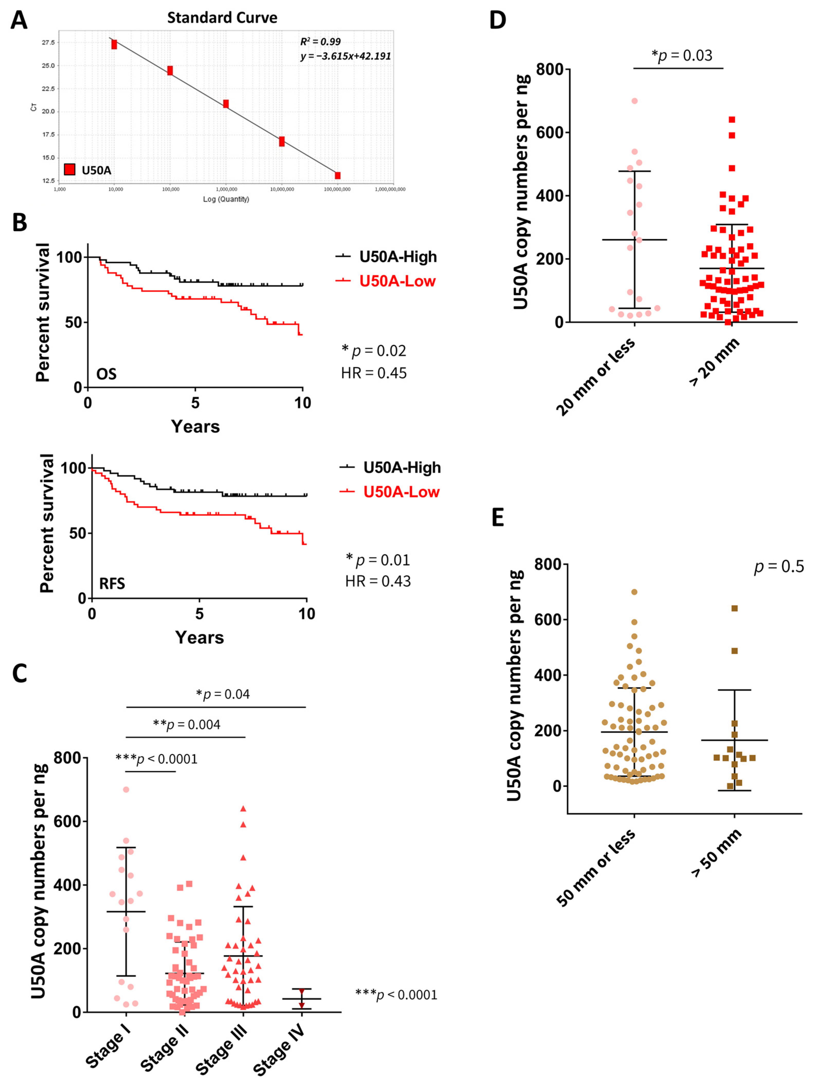 Cancers 13 06304 g001 550