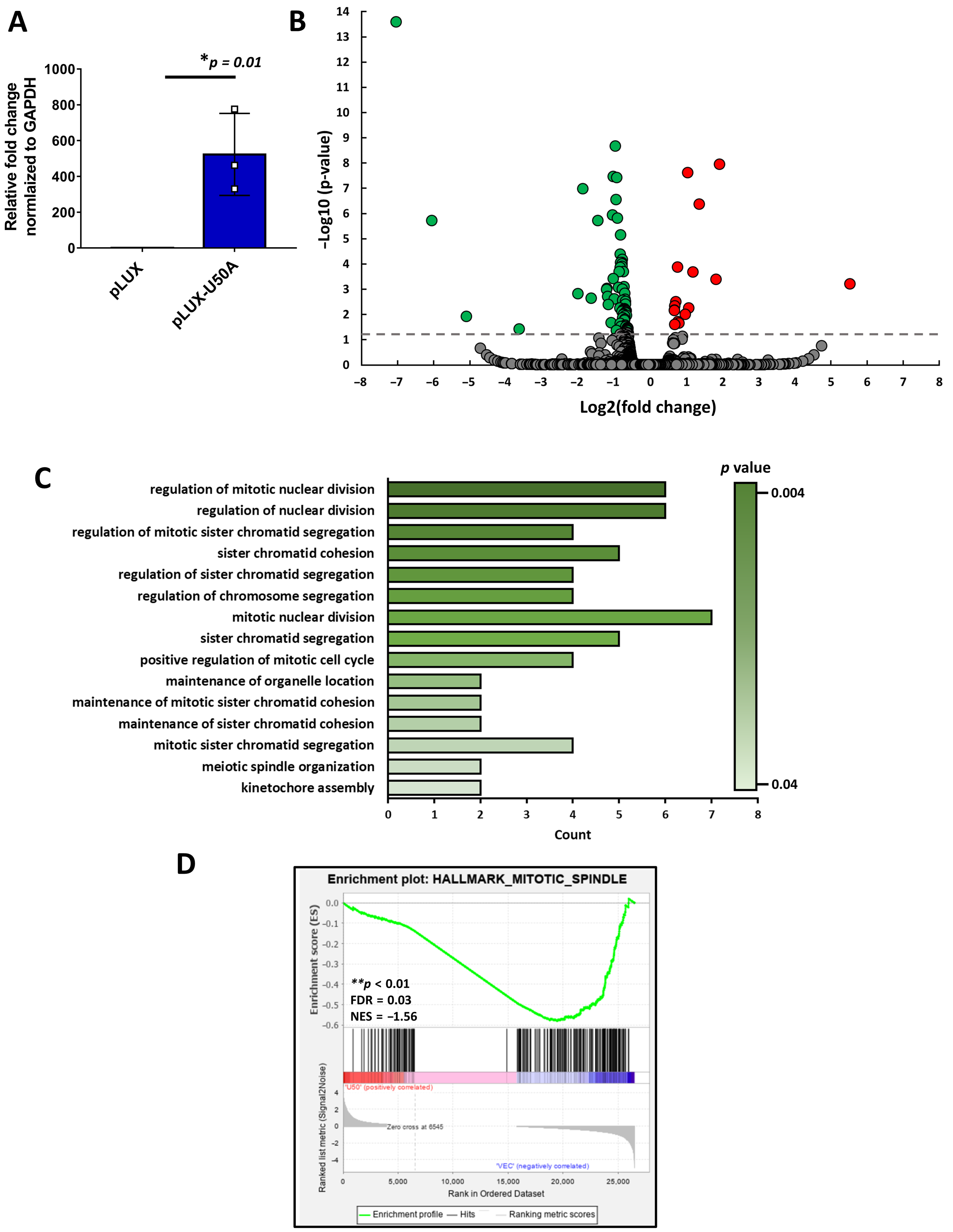 Cancers 13 06304 g002 550